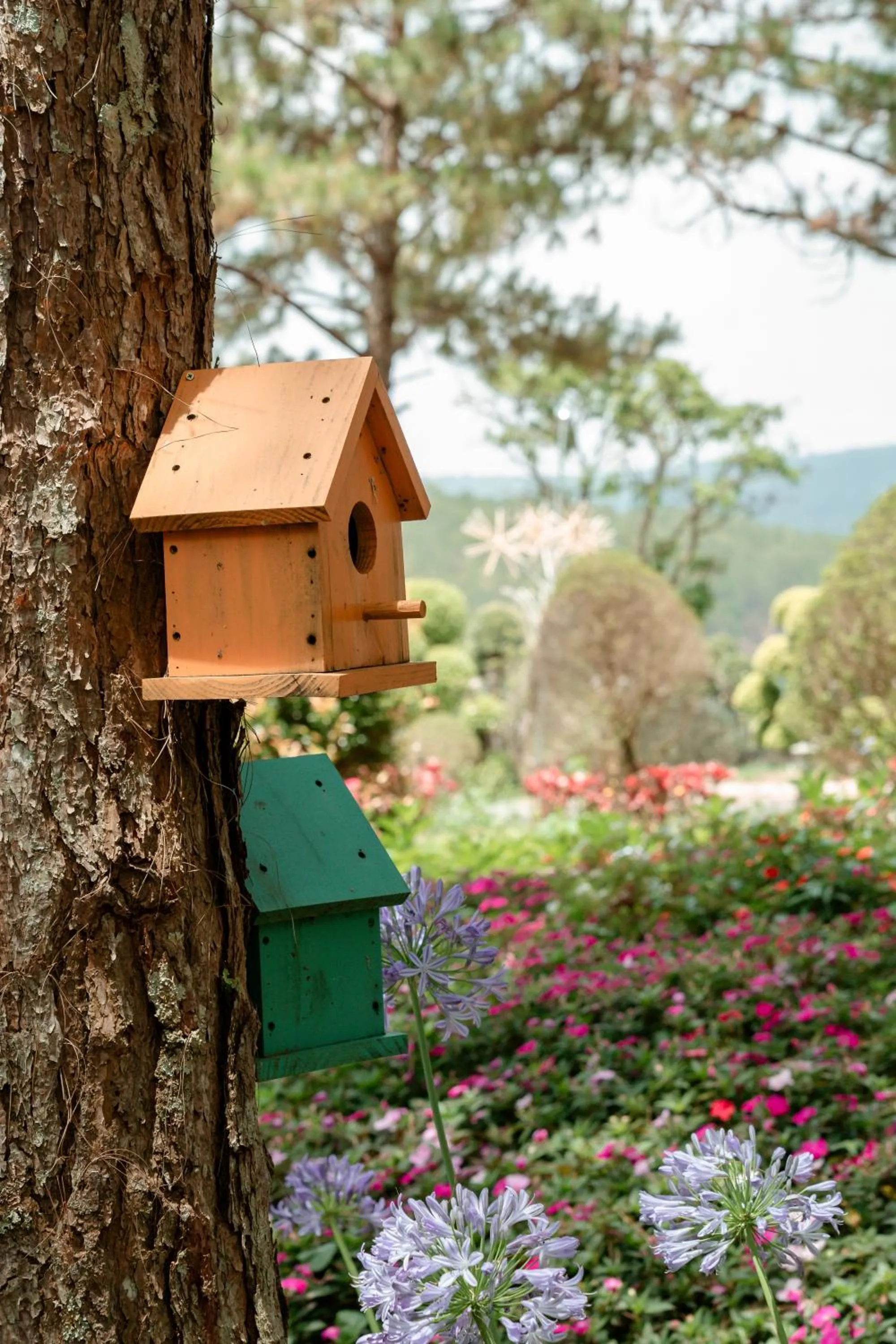 Day in Lavender Dalat Hotel and Resorts