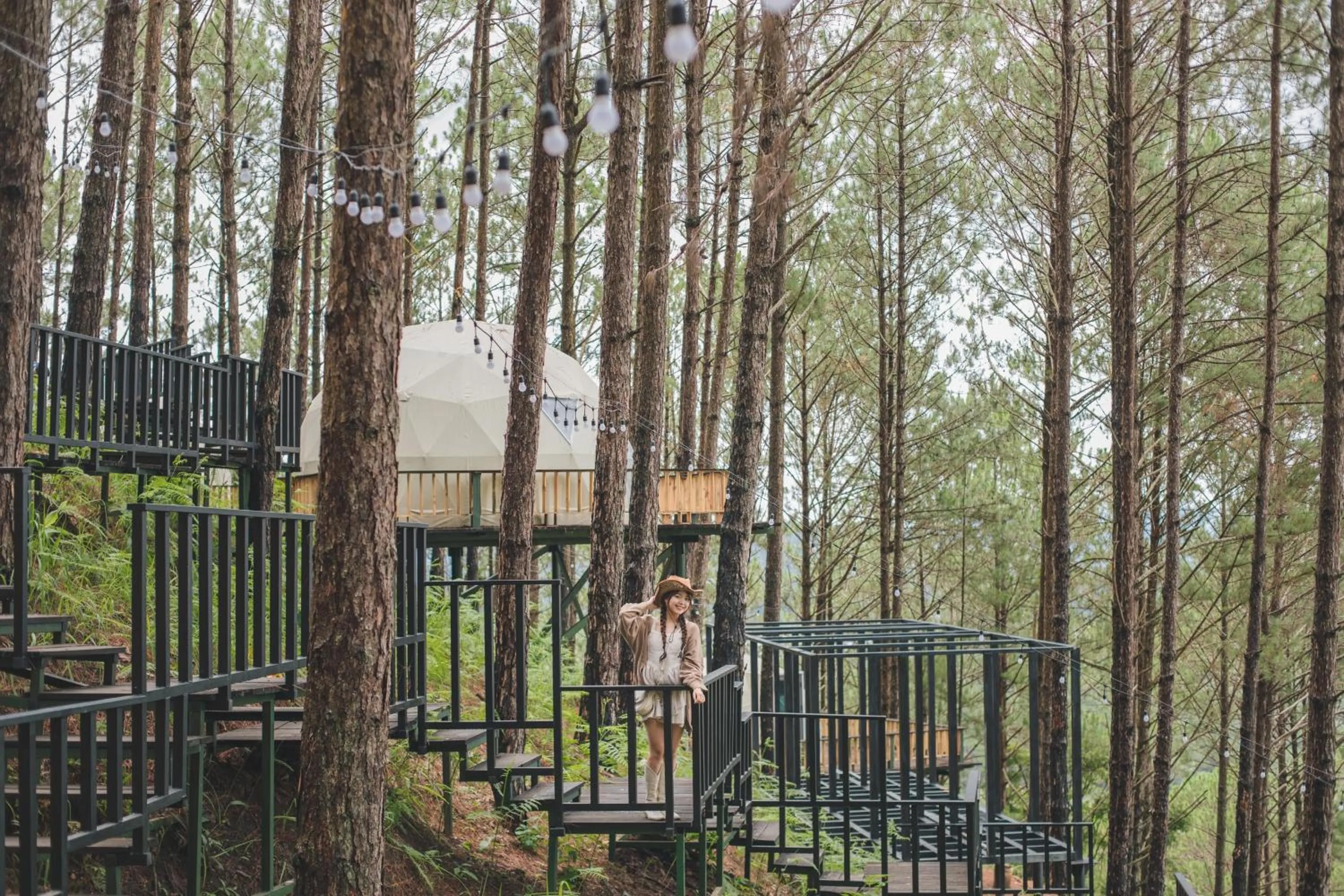 Day in Lavender Dalat Hotel and Resorts