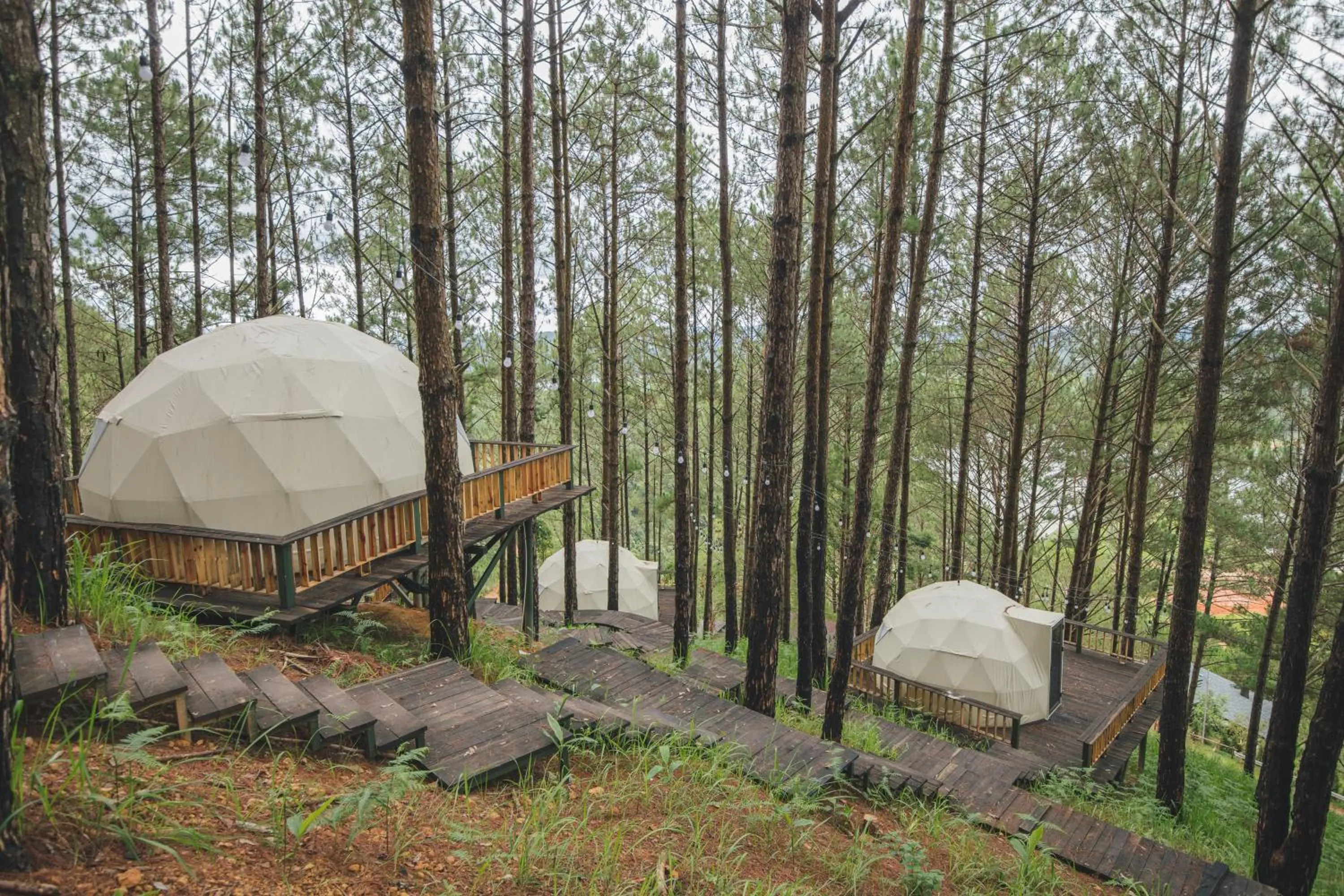 Day in Lavender Dalat Hotel and Resorts