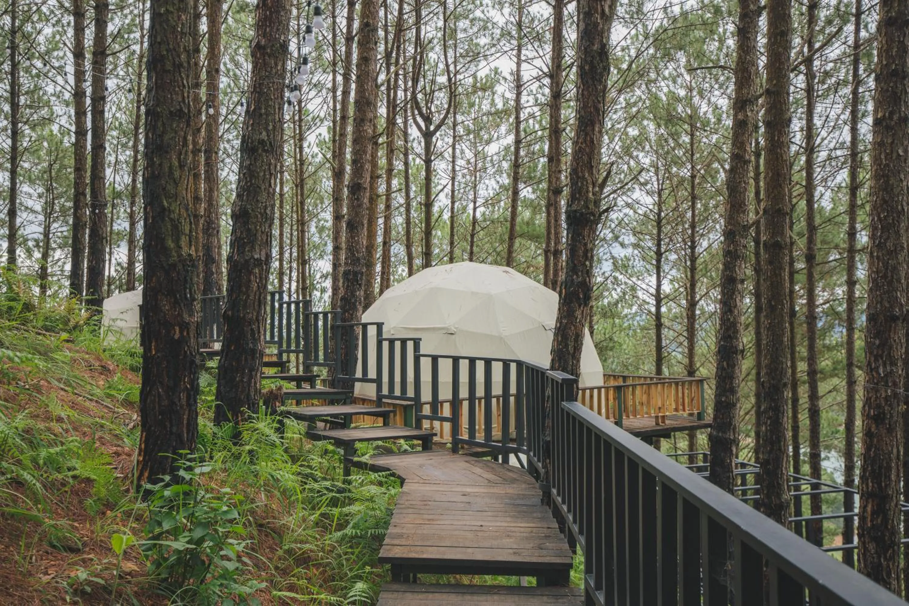 Day in Lavender Dalat Hotel and Resorts