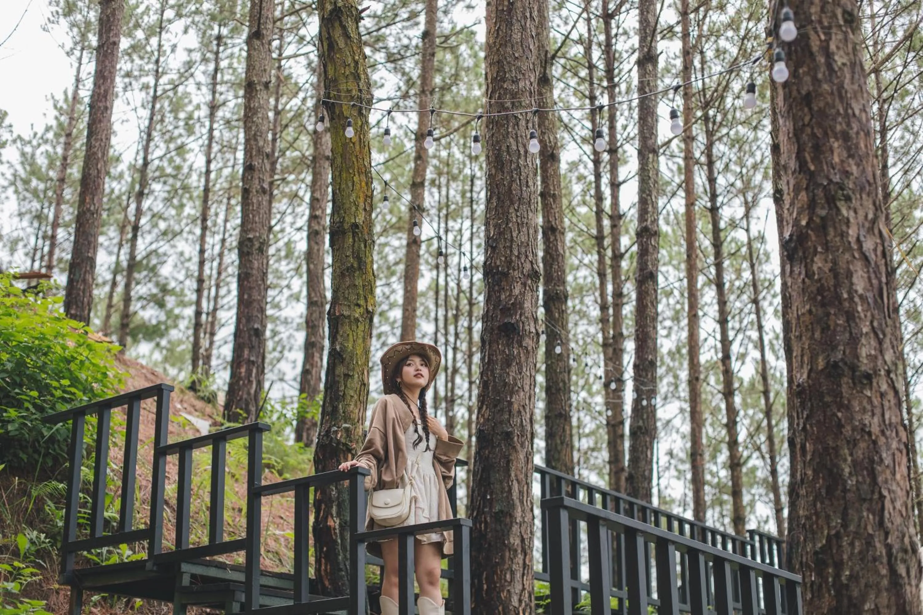 Day in Lavender Dalat Hotel and Resorts