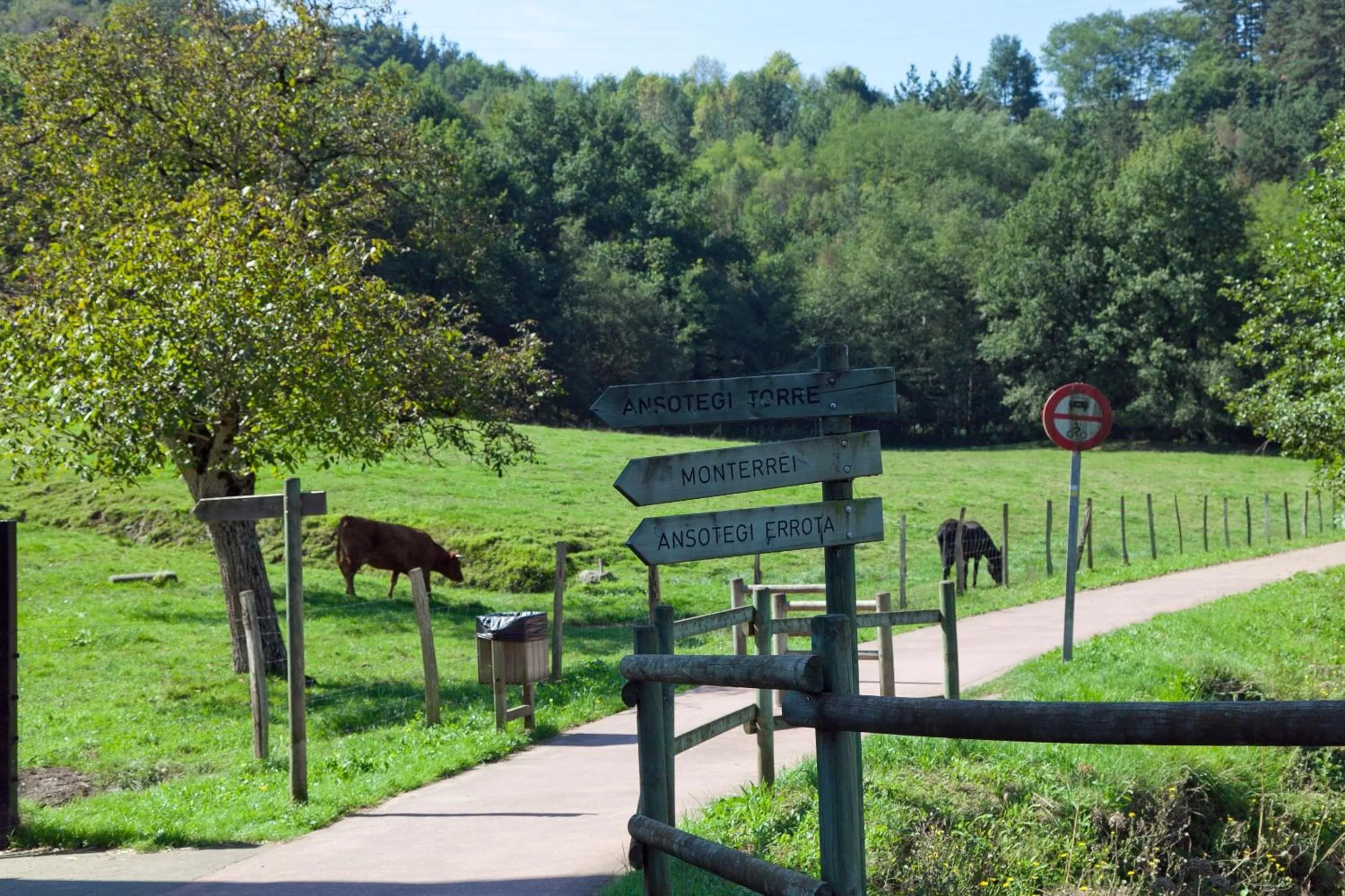 Area and facilities in Hotel Antsotegi