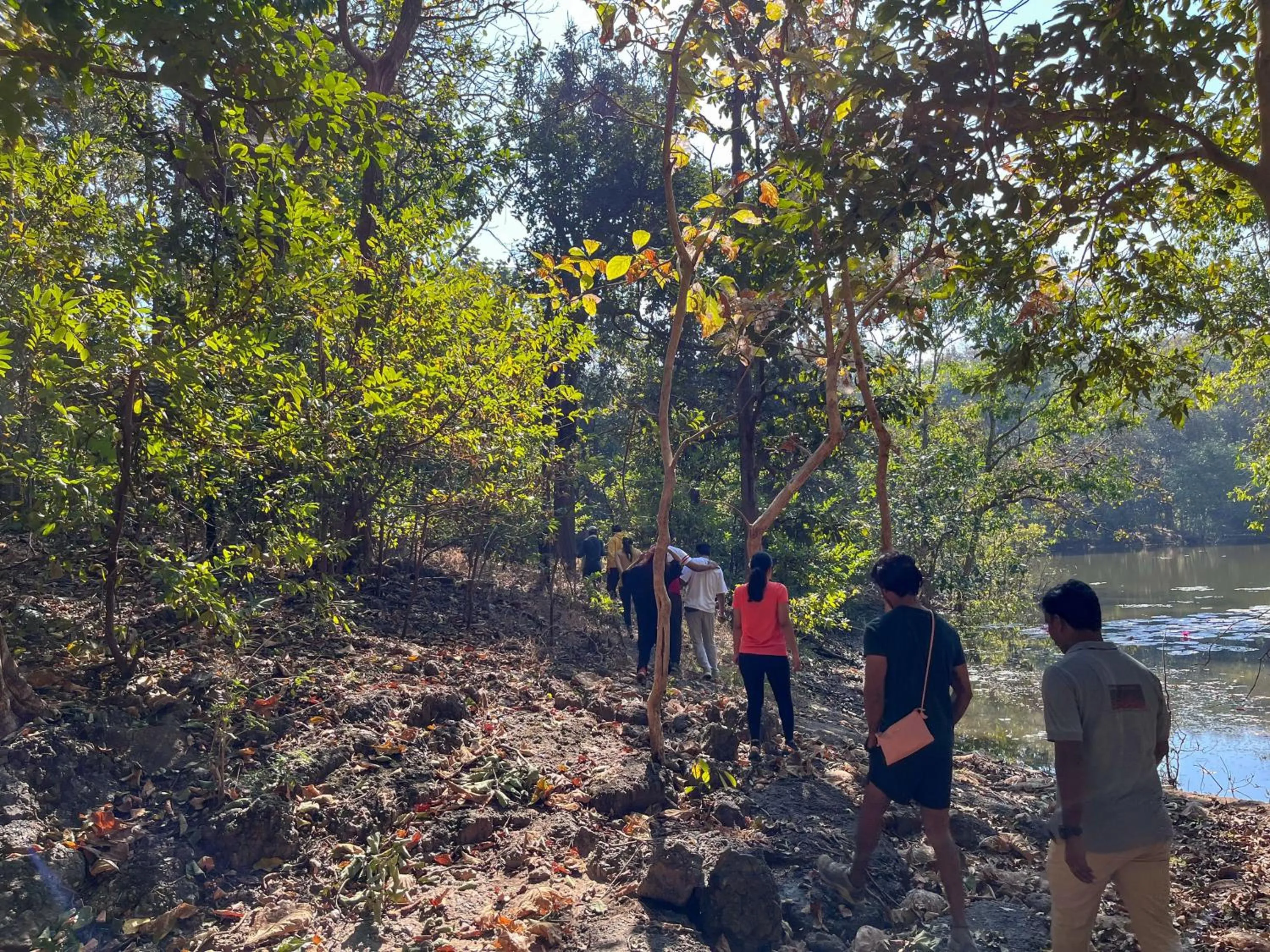 Activities in Rukhad Jungle Camp - Pench