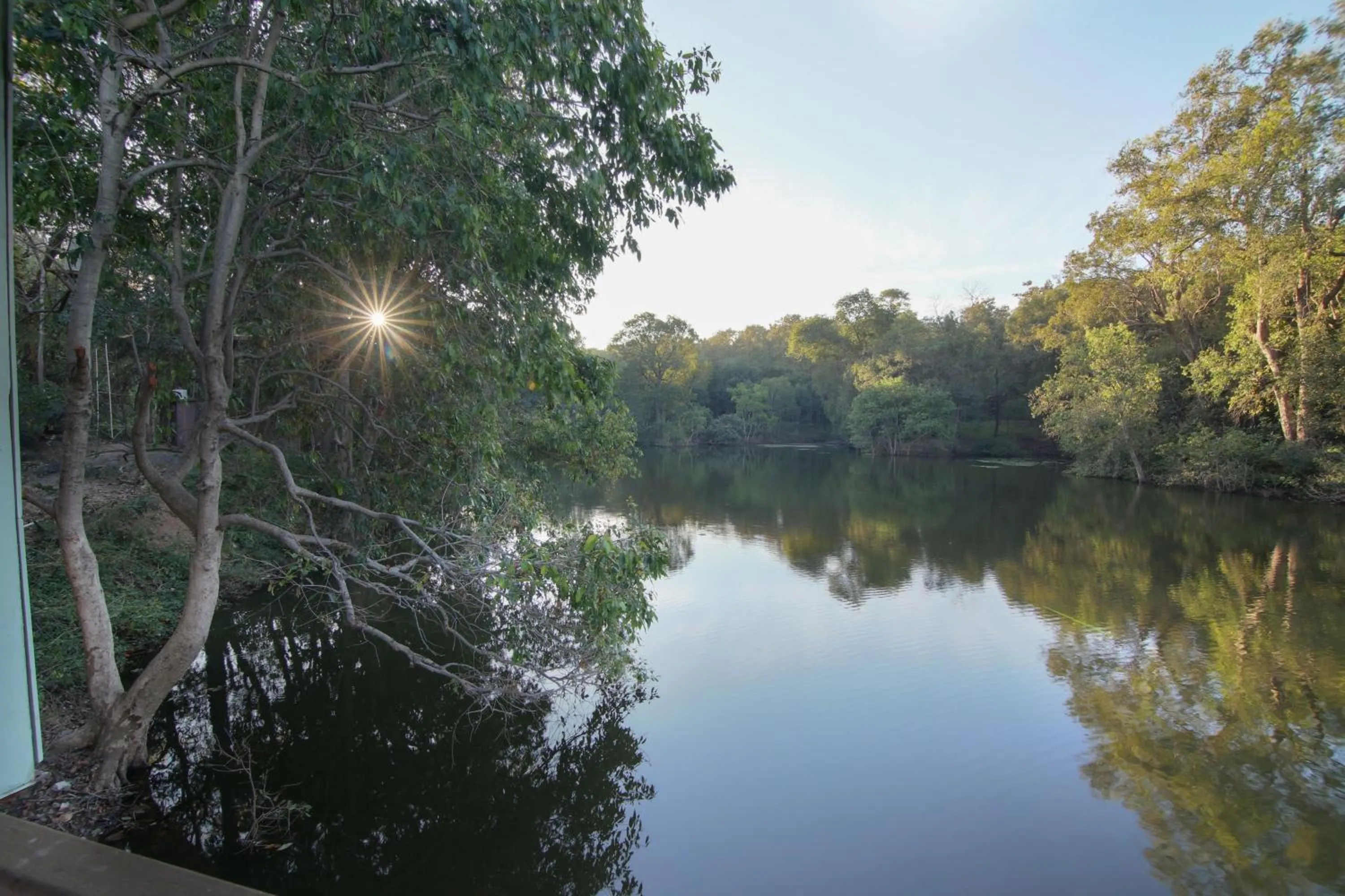 Spring in Rukhad Jungle Camp - Pench