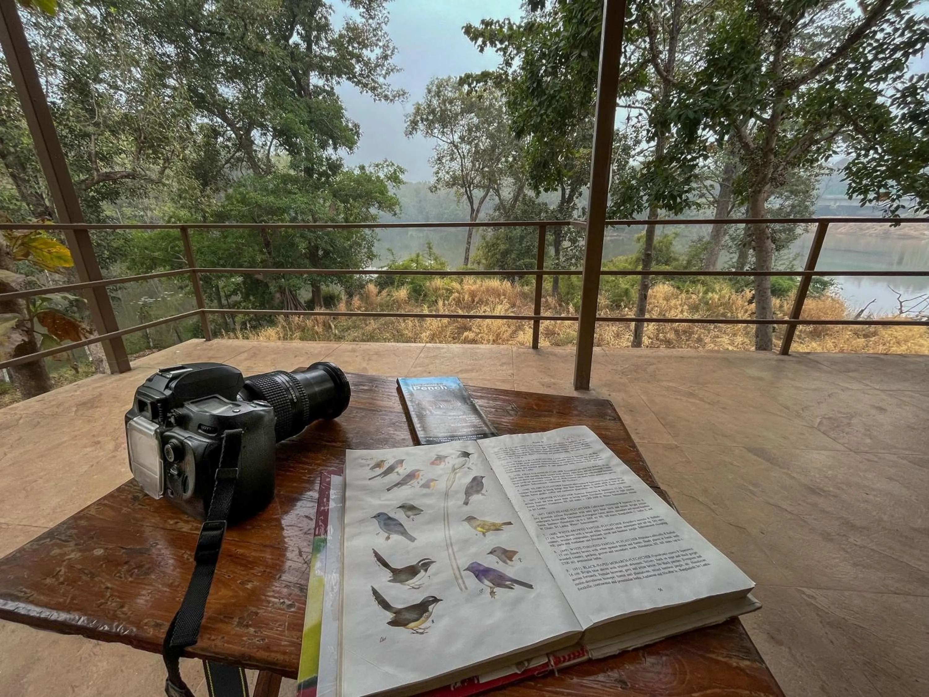 View (from property/room) in Rukhad Jungle Camp - Pench