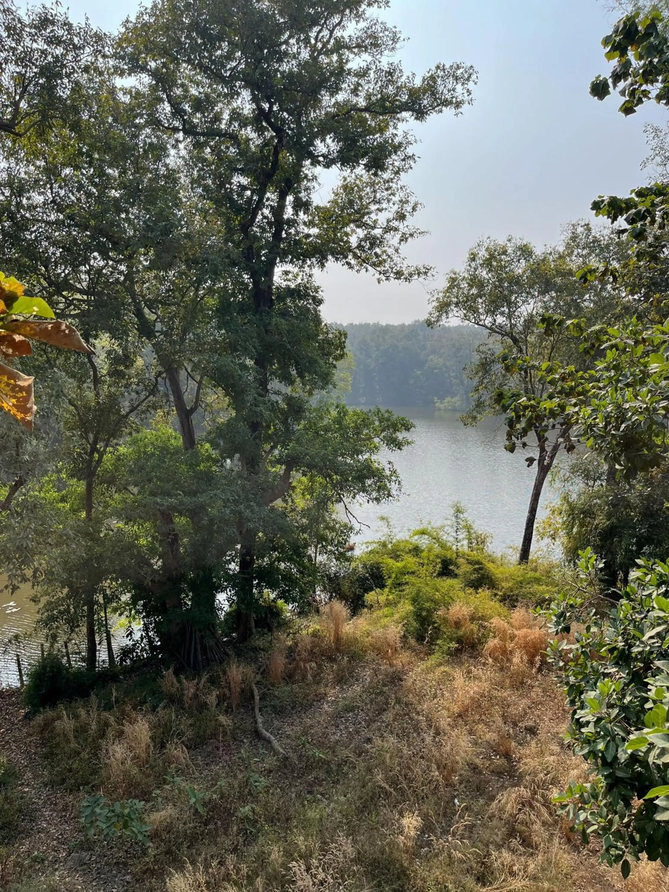 Lake view in Rukhad Jungle Camp - Pench