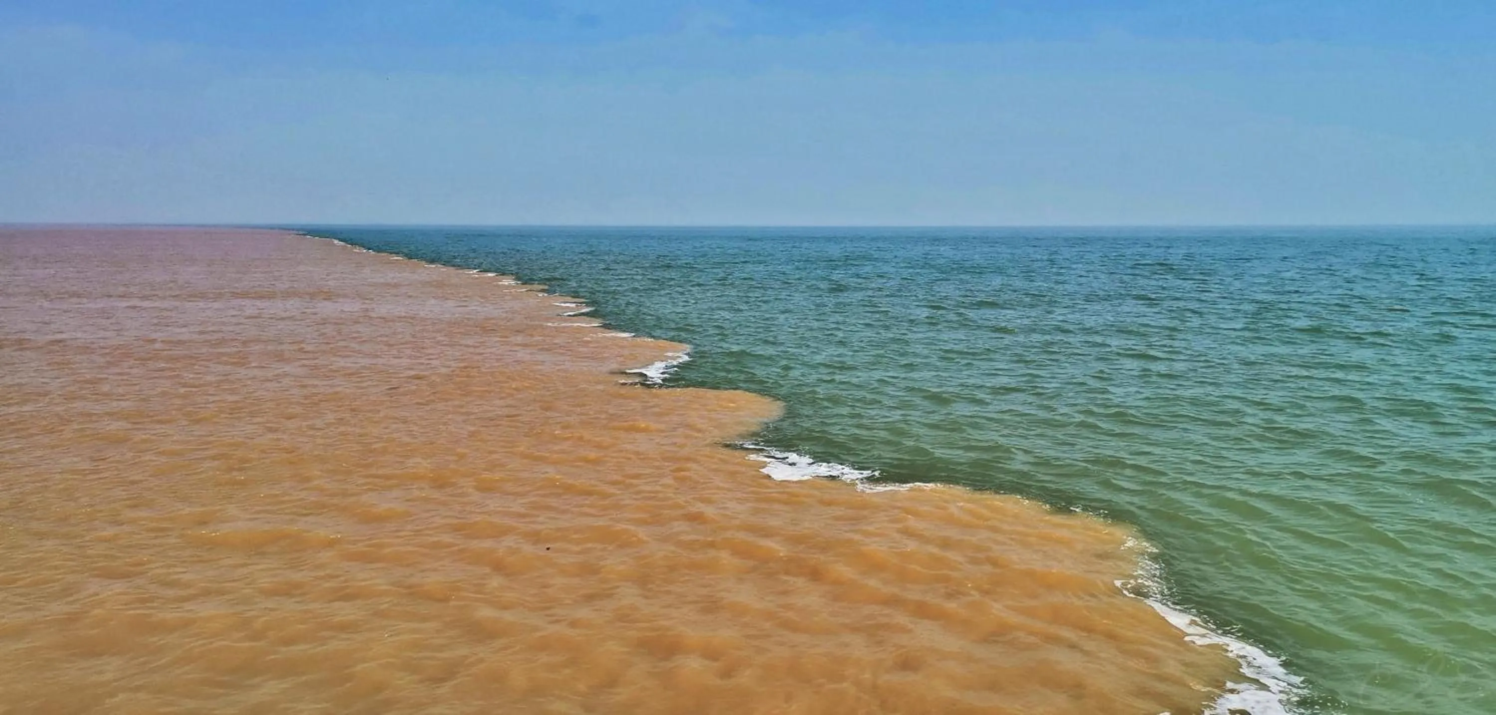 Area and facilities in Crowne Plaza Dongying by IHG