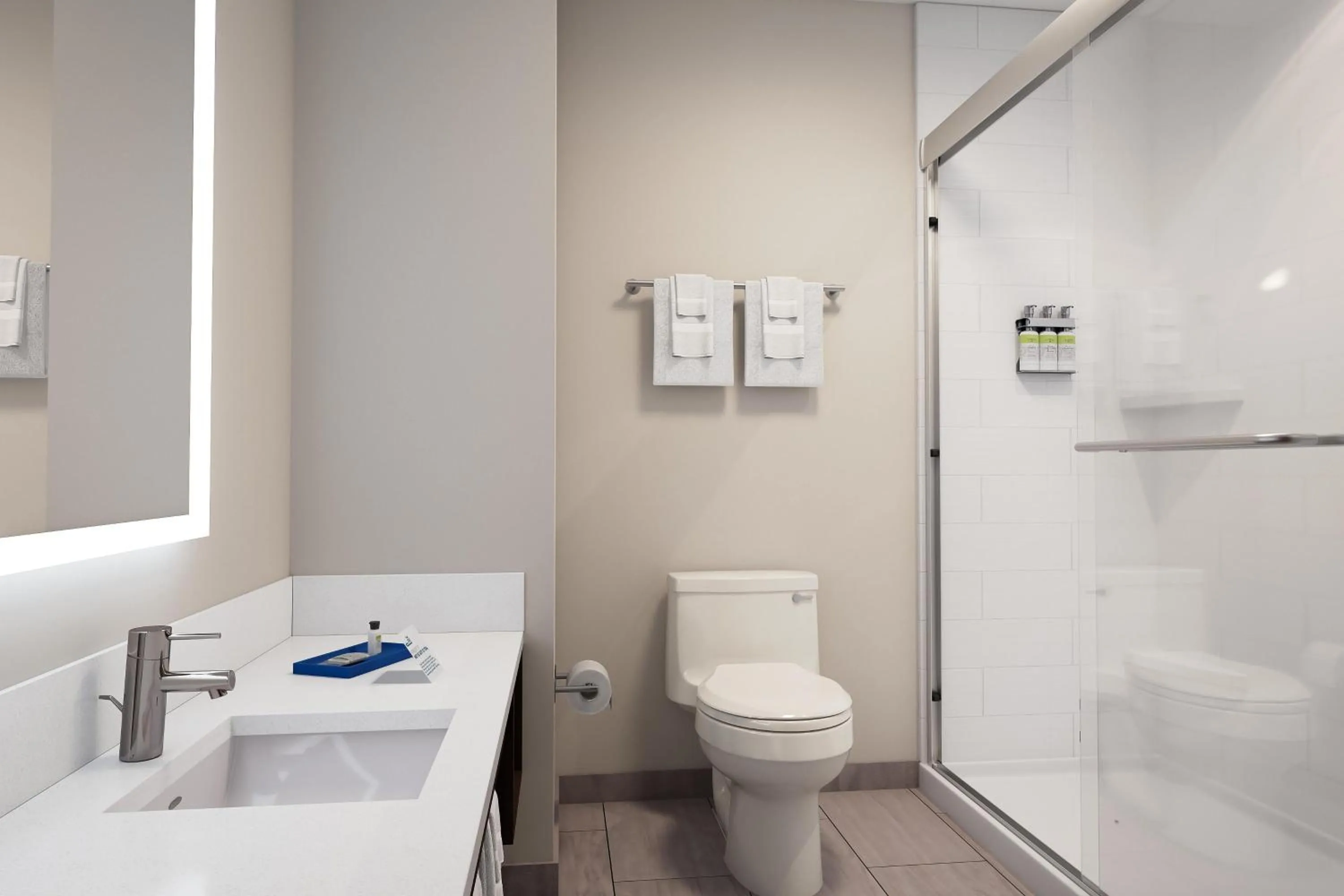 Toilet in Holiday Inn Express & Suites - Phoenix West - Tolleson