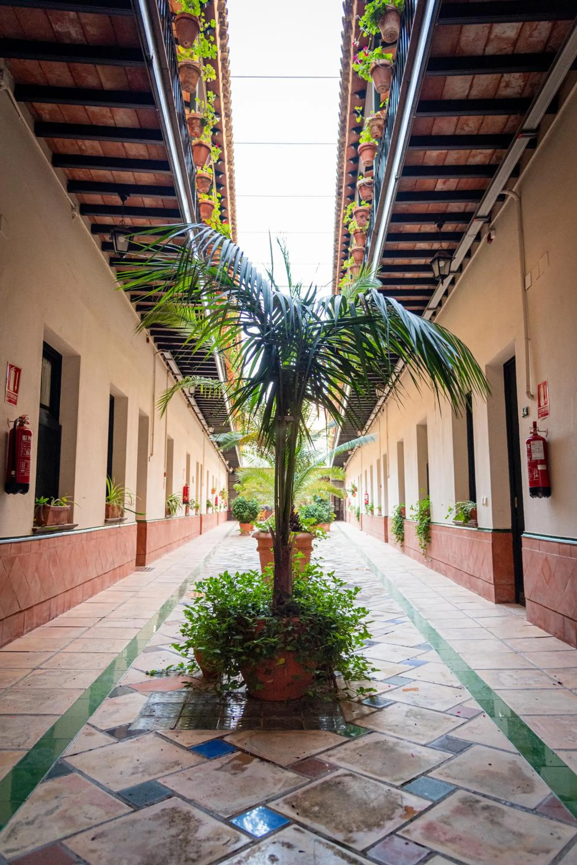 Property building in Hoteles del Sur