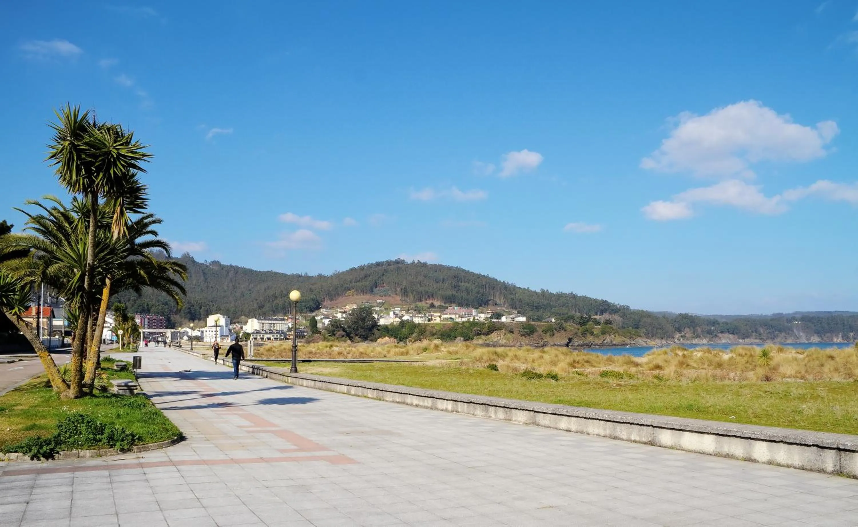 Natural landscape in Duerming Park Viveiro