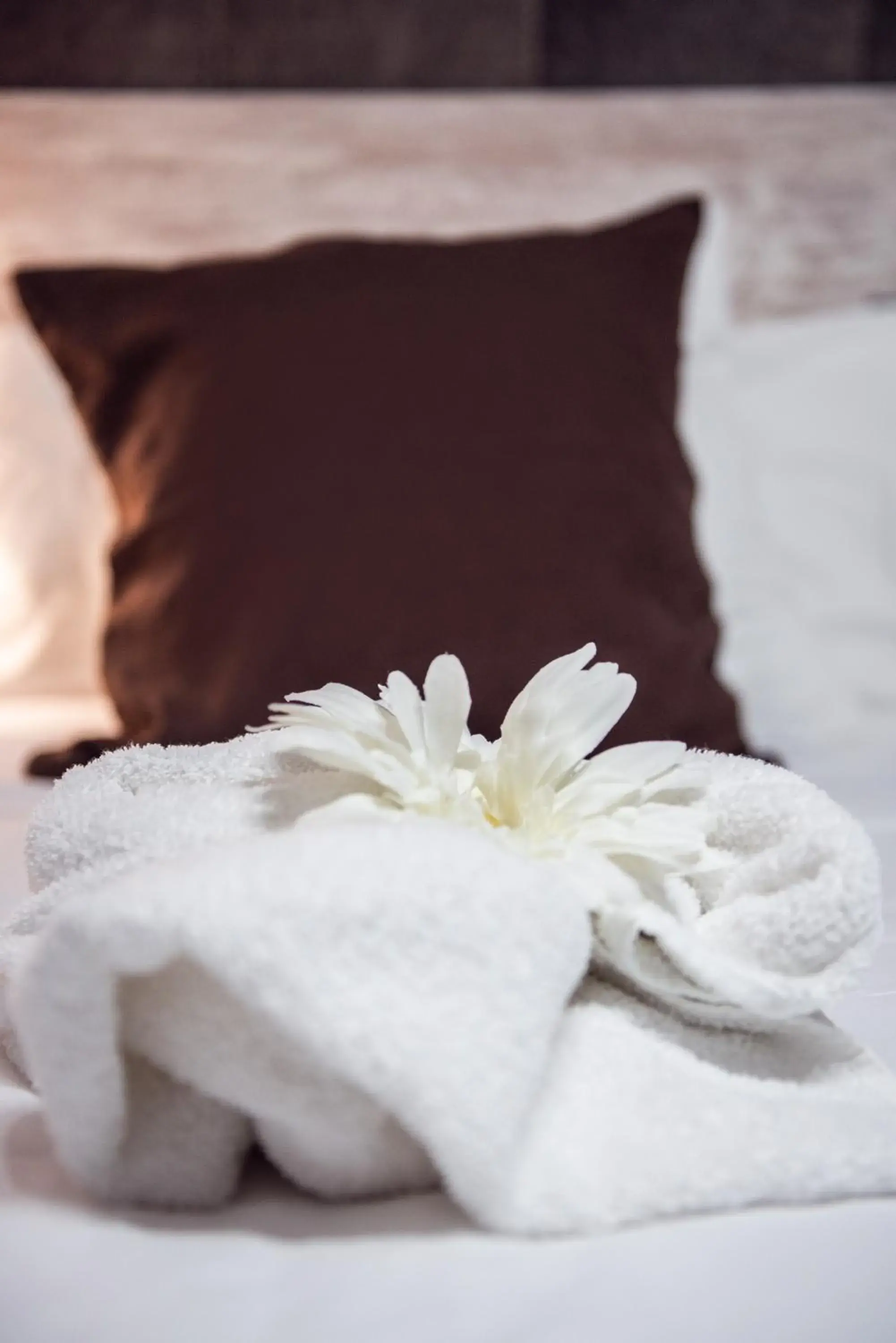 Triple Room in Hotel Ancora Triple Room in Hotel Ancora