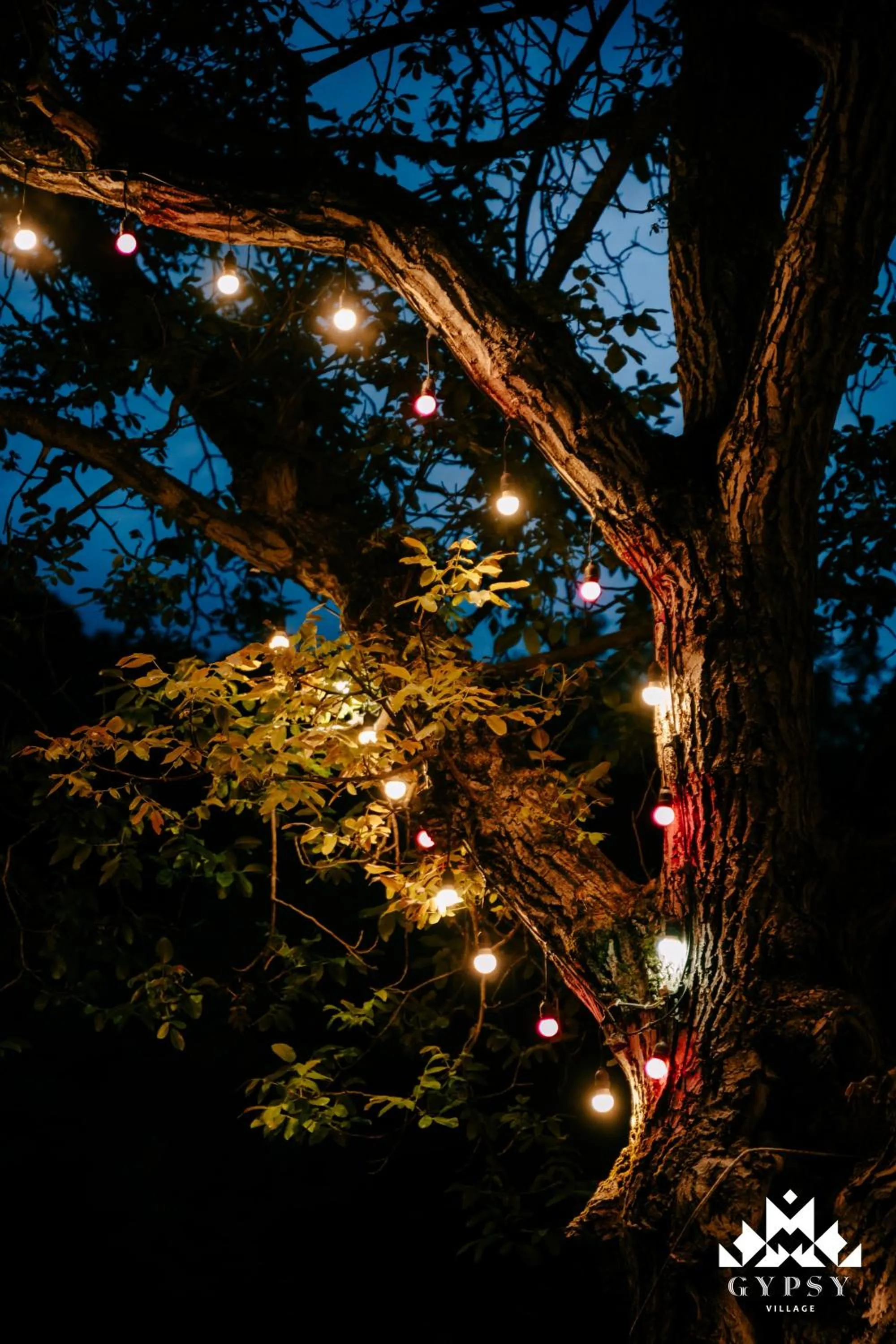 Night in Gipsy Village Park Hotel