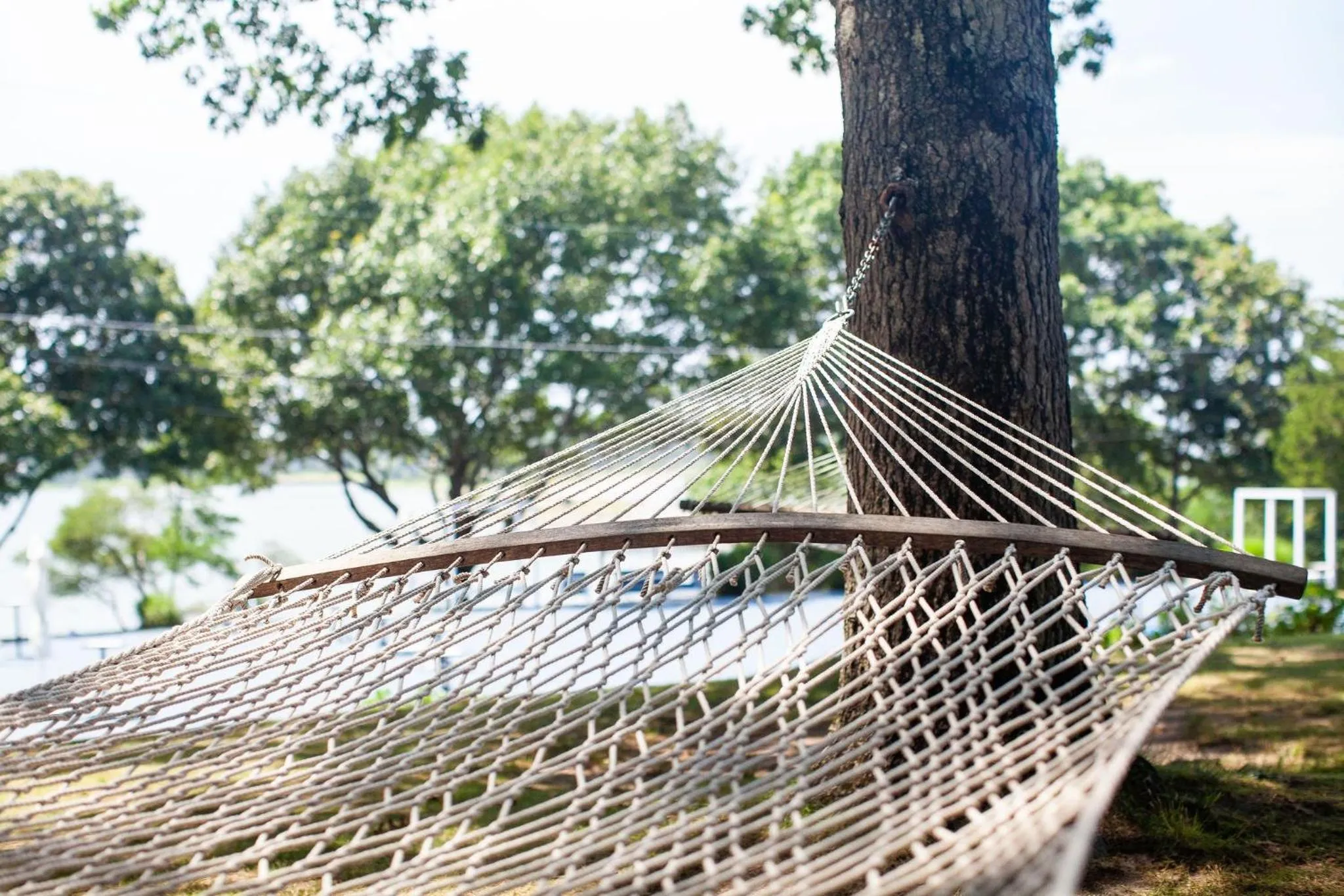 Day in Rams Head Inn