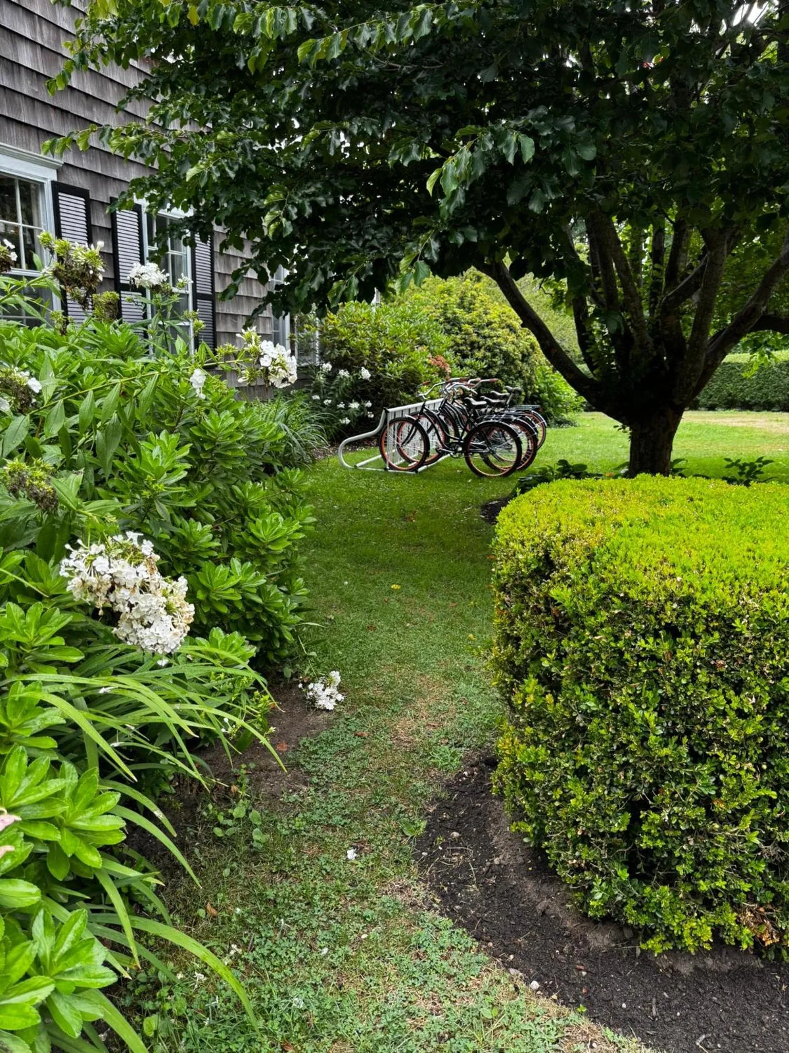 Cycling in Rams Head Inn