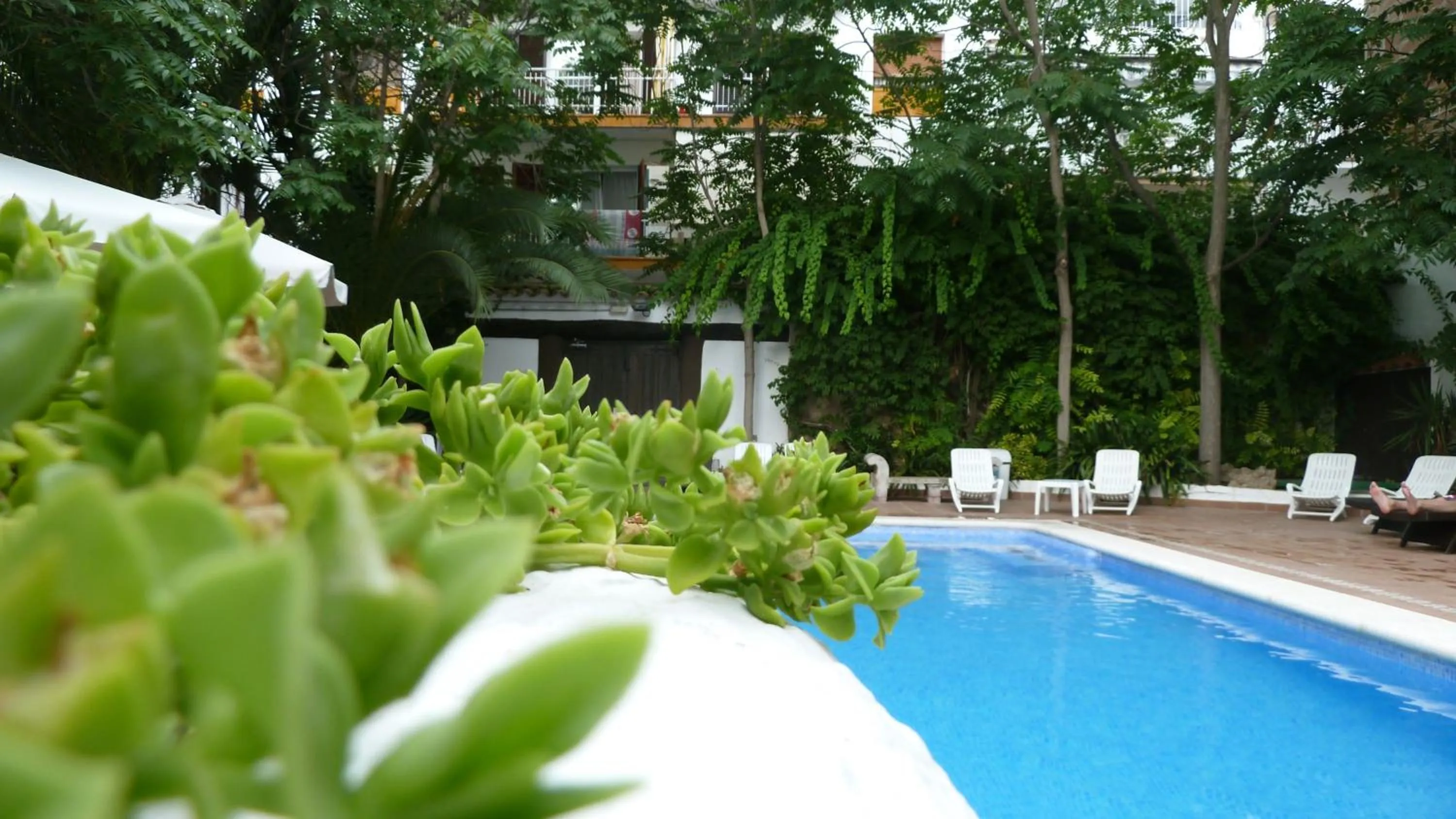 Swimming pool in Galeón