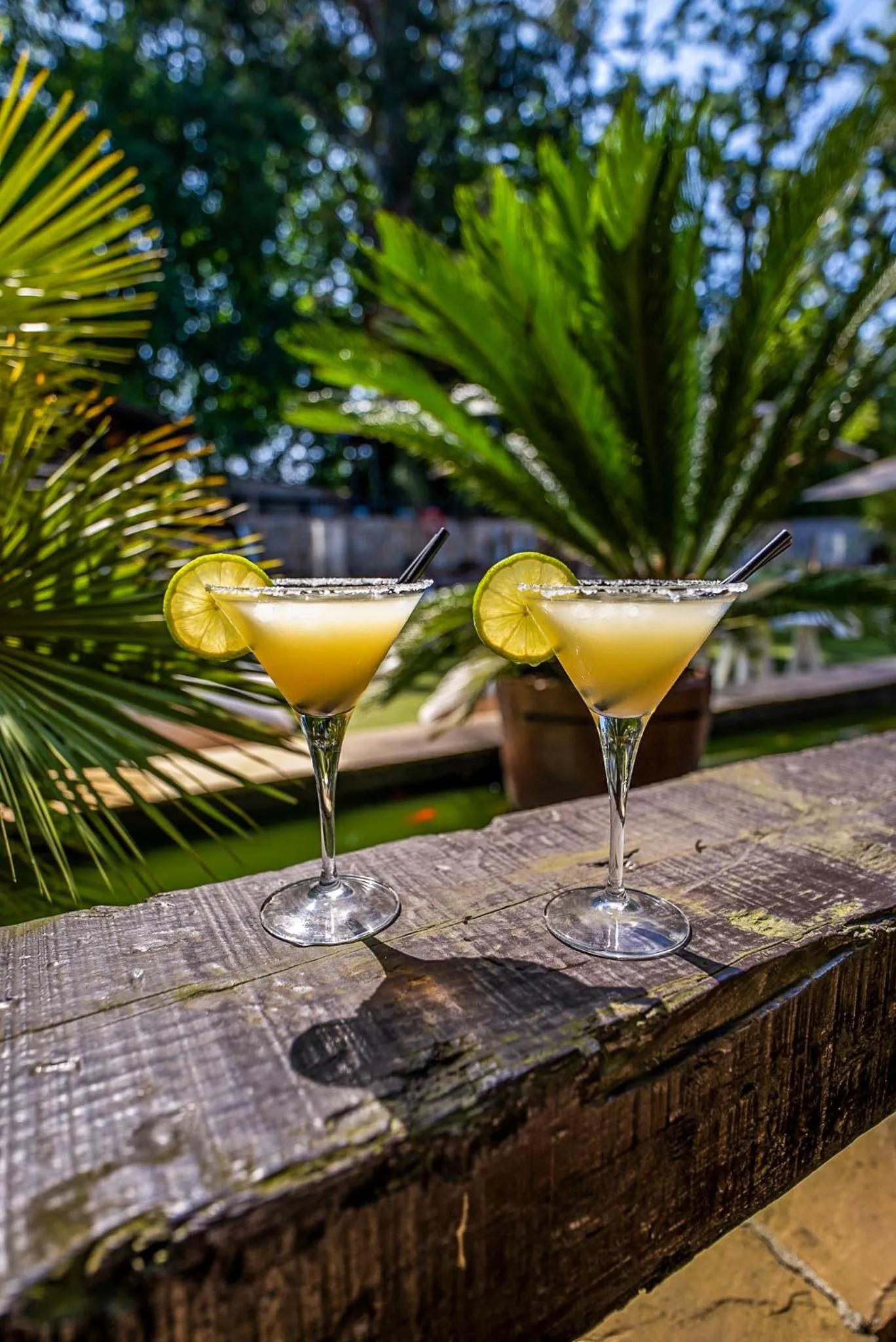 Balcony/Terrace in Hotel Cuevas - Adults Only
