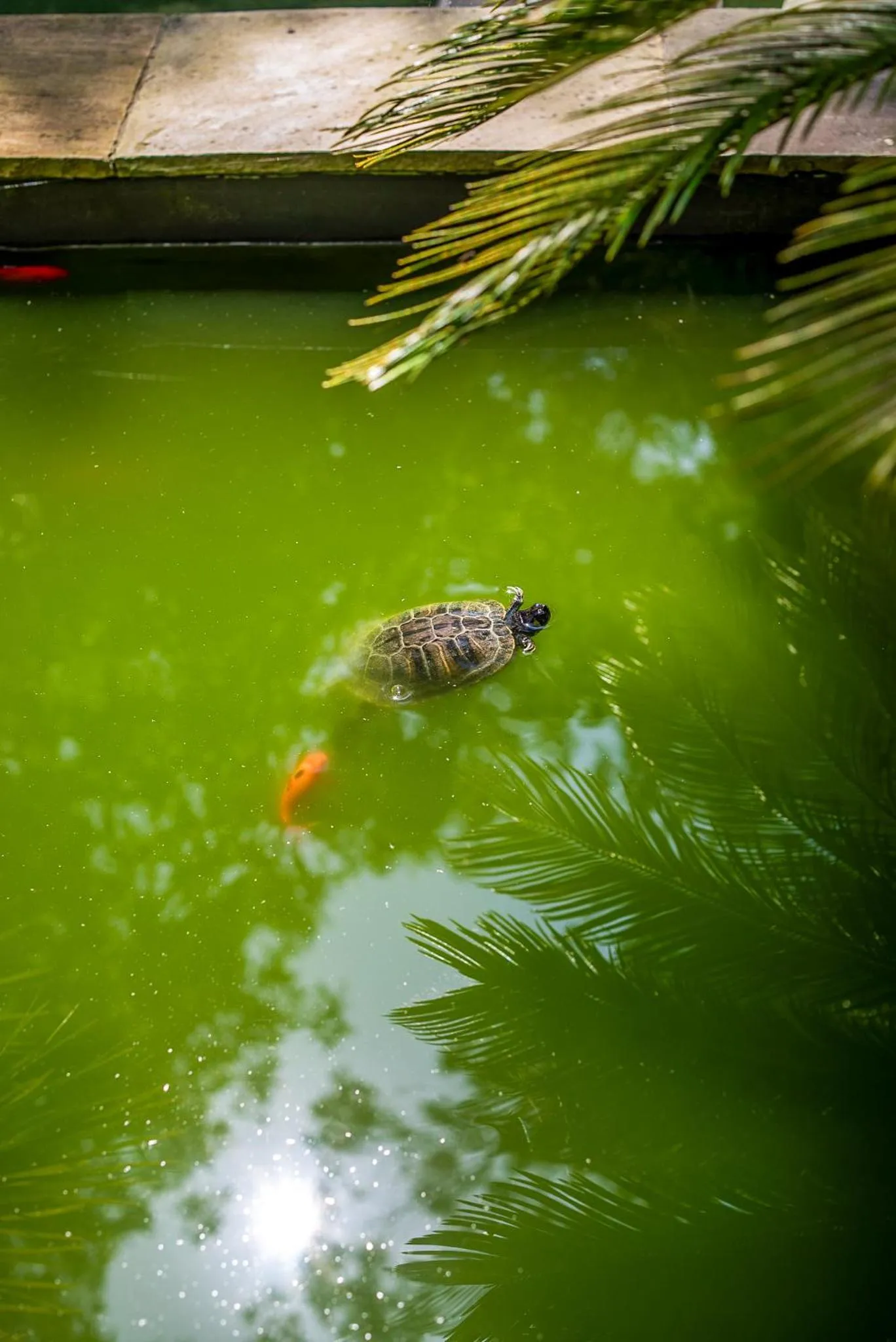 Off site in Hotel Cuevas - Adults Only