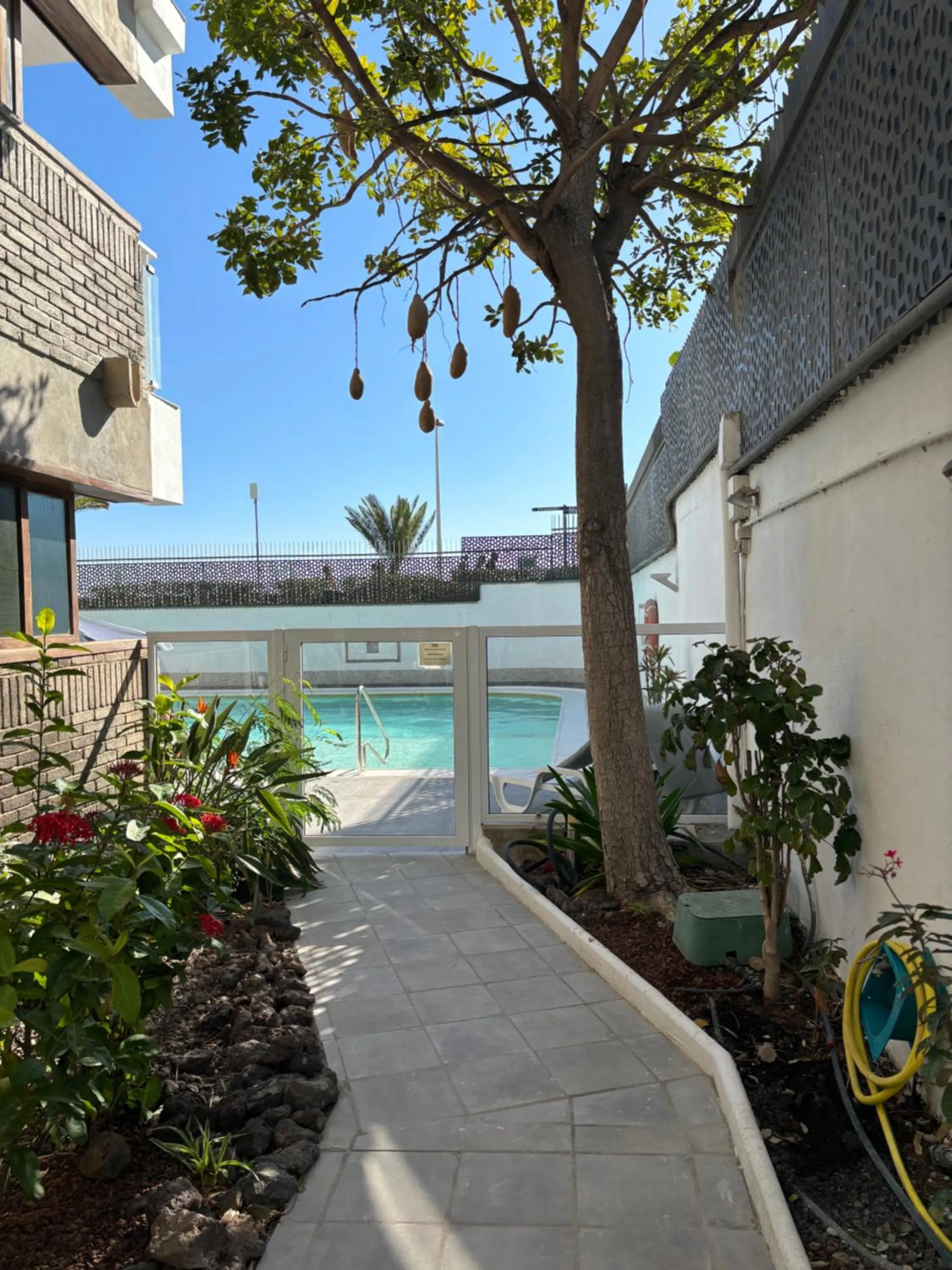 Property building in Apartamentos El Paseo