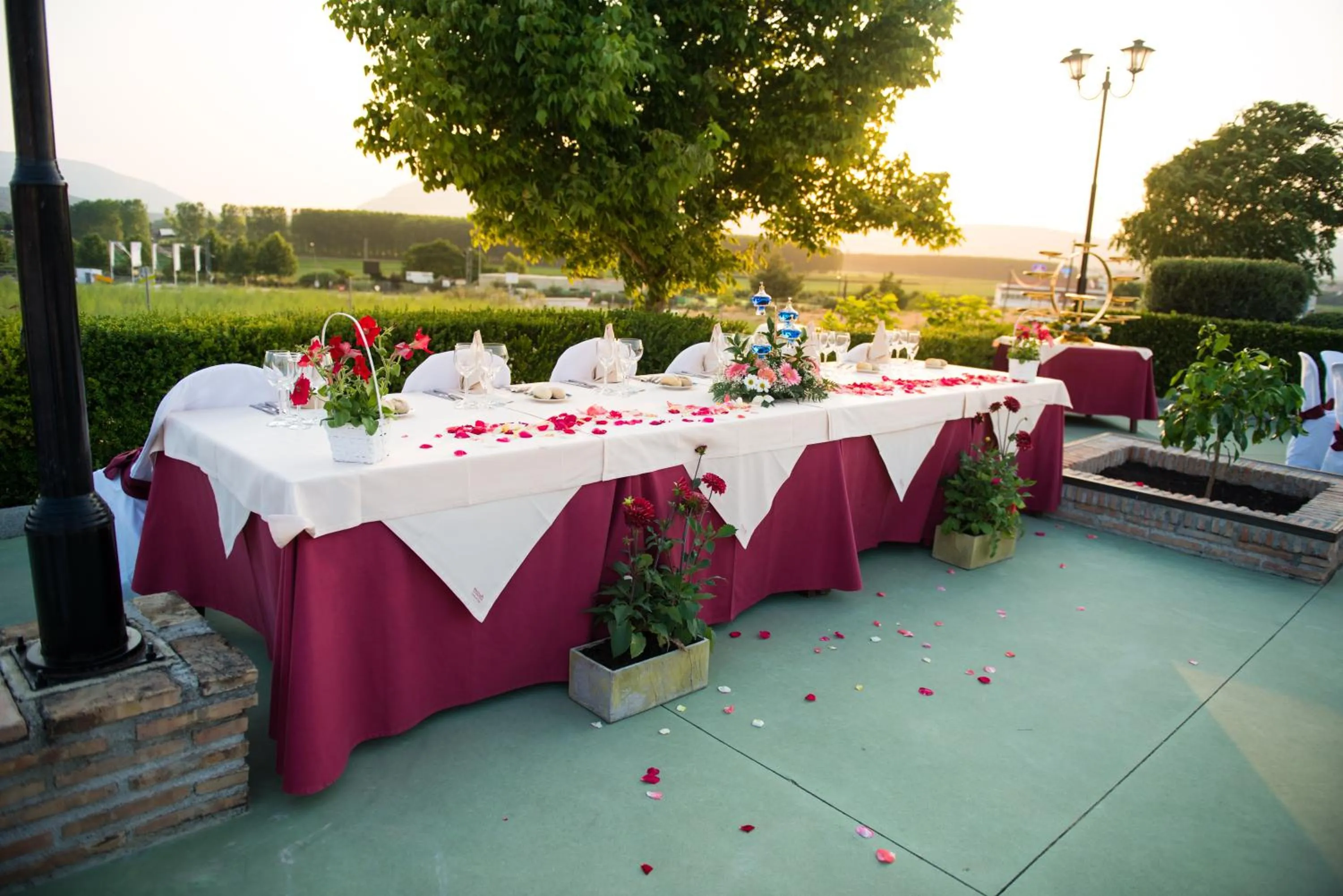 Garden in Cortijo De Tajar
