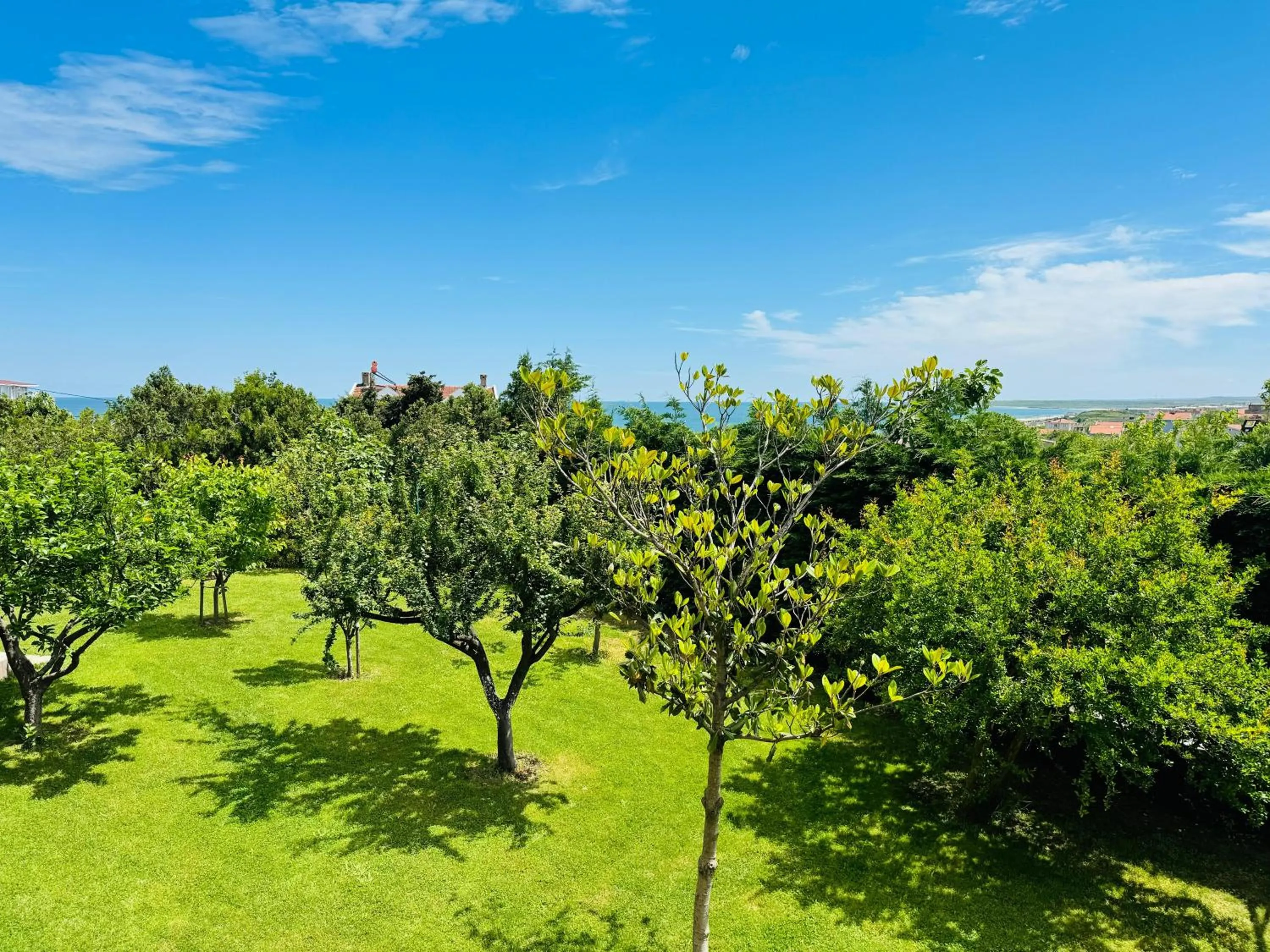 Spring in Istanbul Airport Treekos Suite Hotel