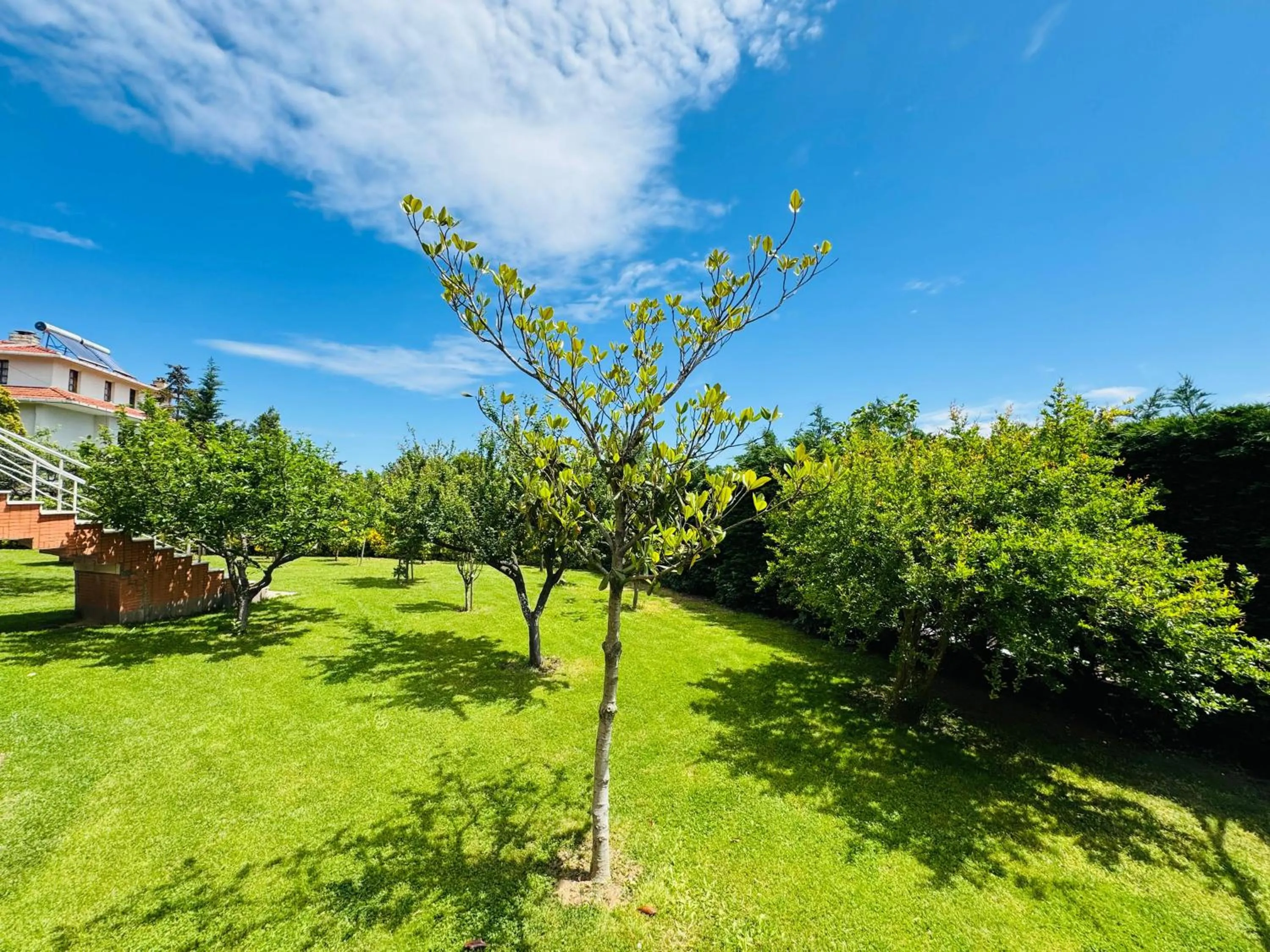 Property building in Istanbul Airport Treekos Suite Hotel