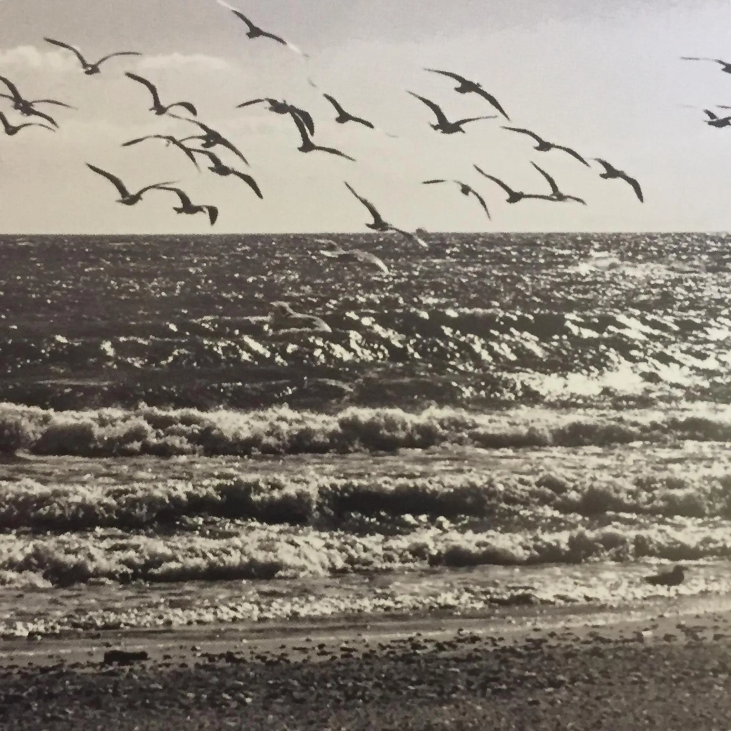 Beach in The Marbella Heights Boutique Hotel