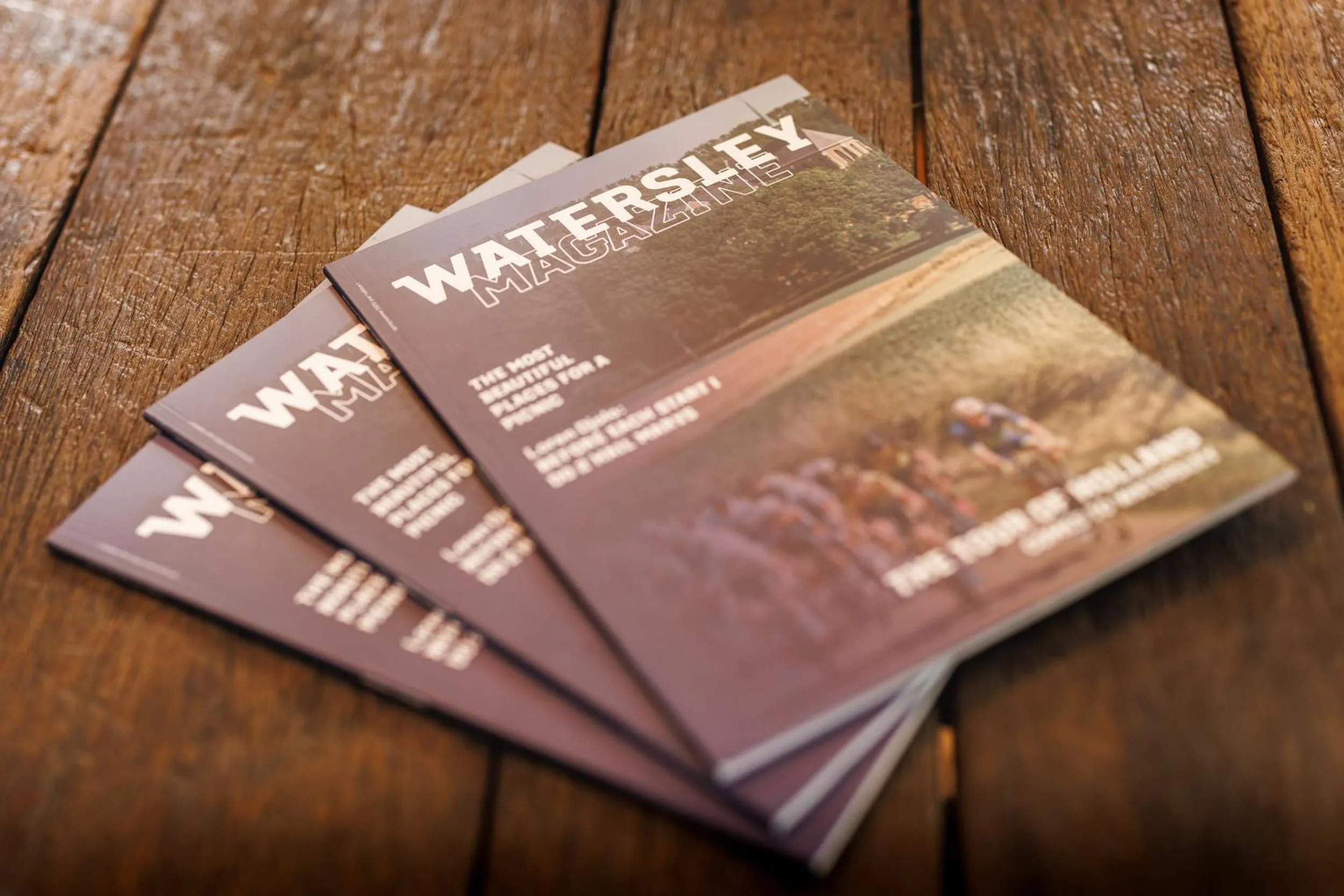 Decorative detail in SEPHS Hotel Sittard