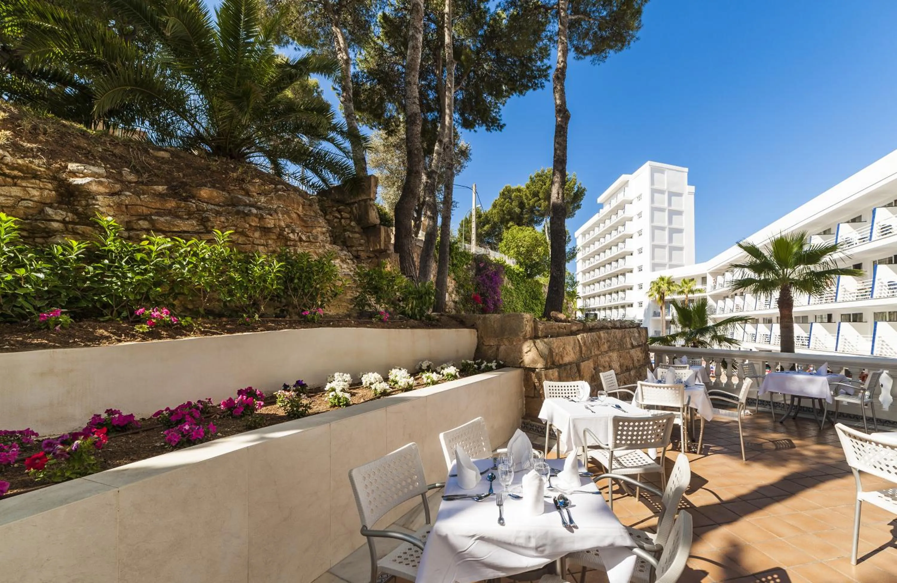 Restaurant/places to eat in Globales Palmanova Palace