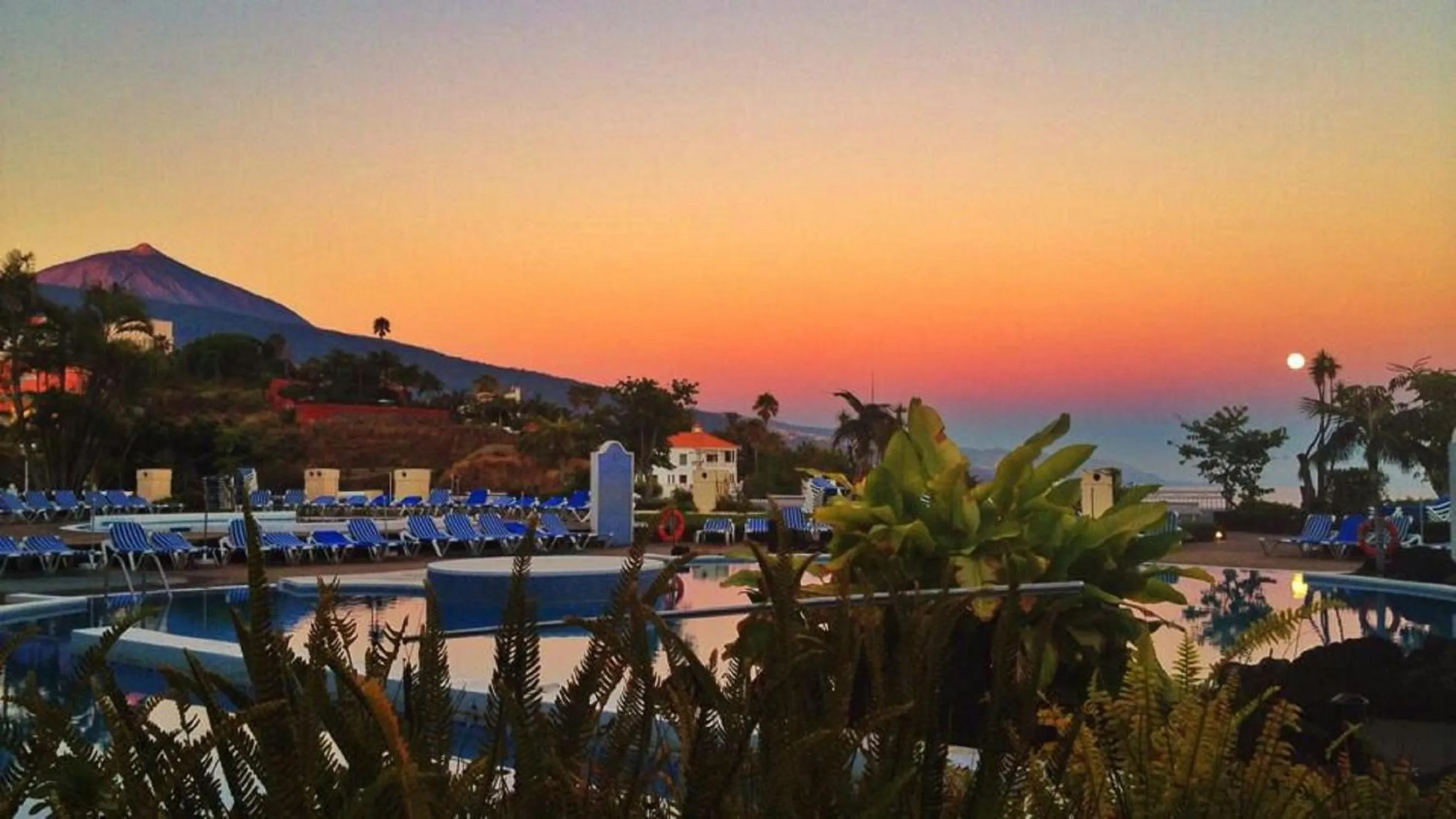 Garden view in RF La Quinta Park Suites