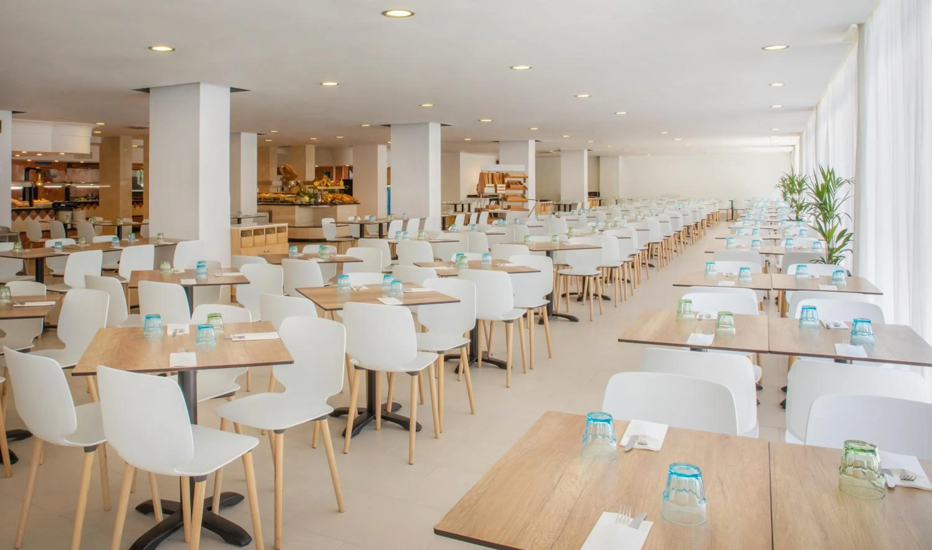 Restaurant/places to eat in Sol Palmanova Mallorca