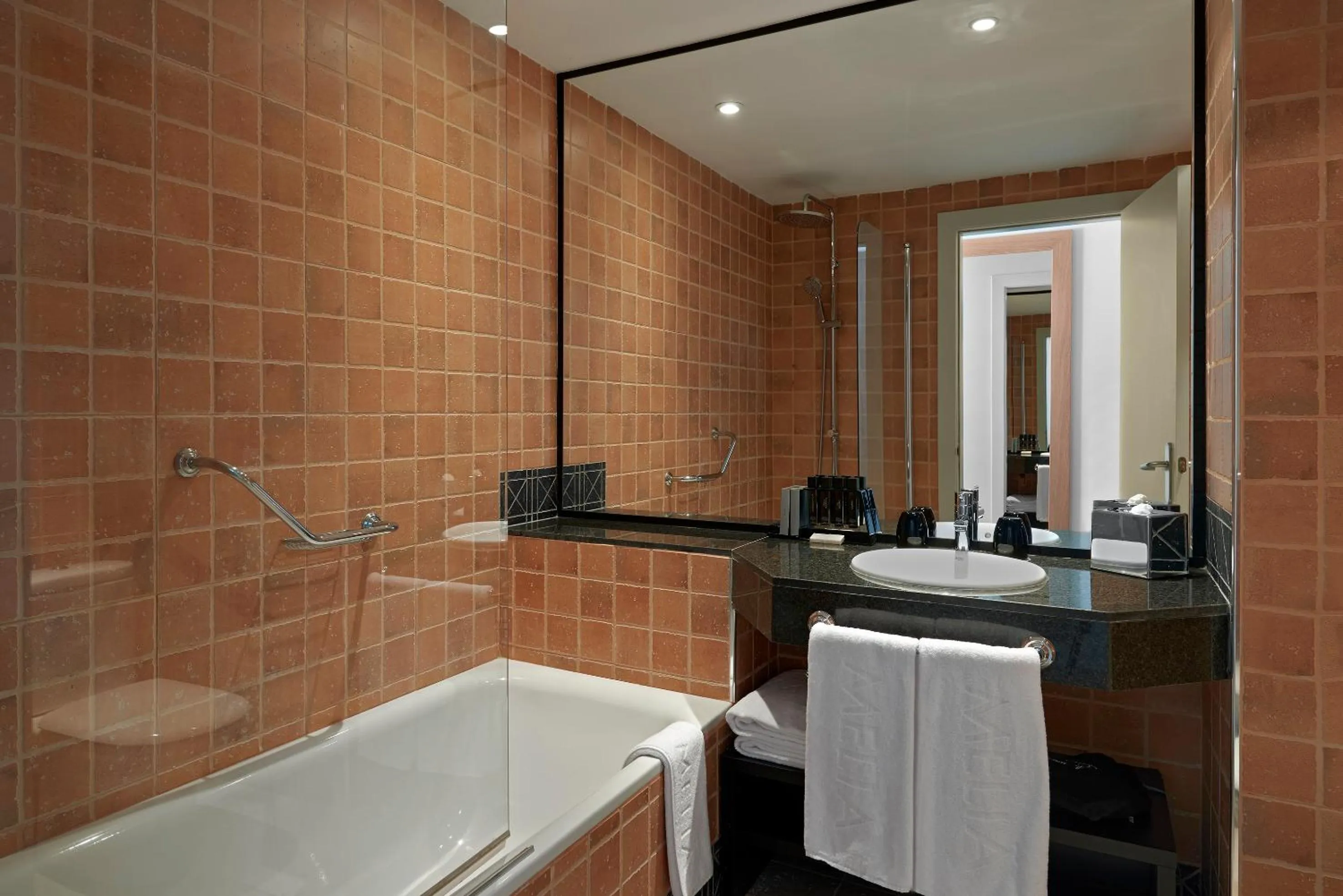 Toilet in Meliá Calviá Beach