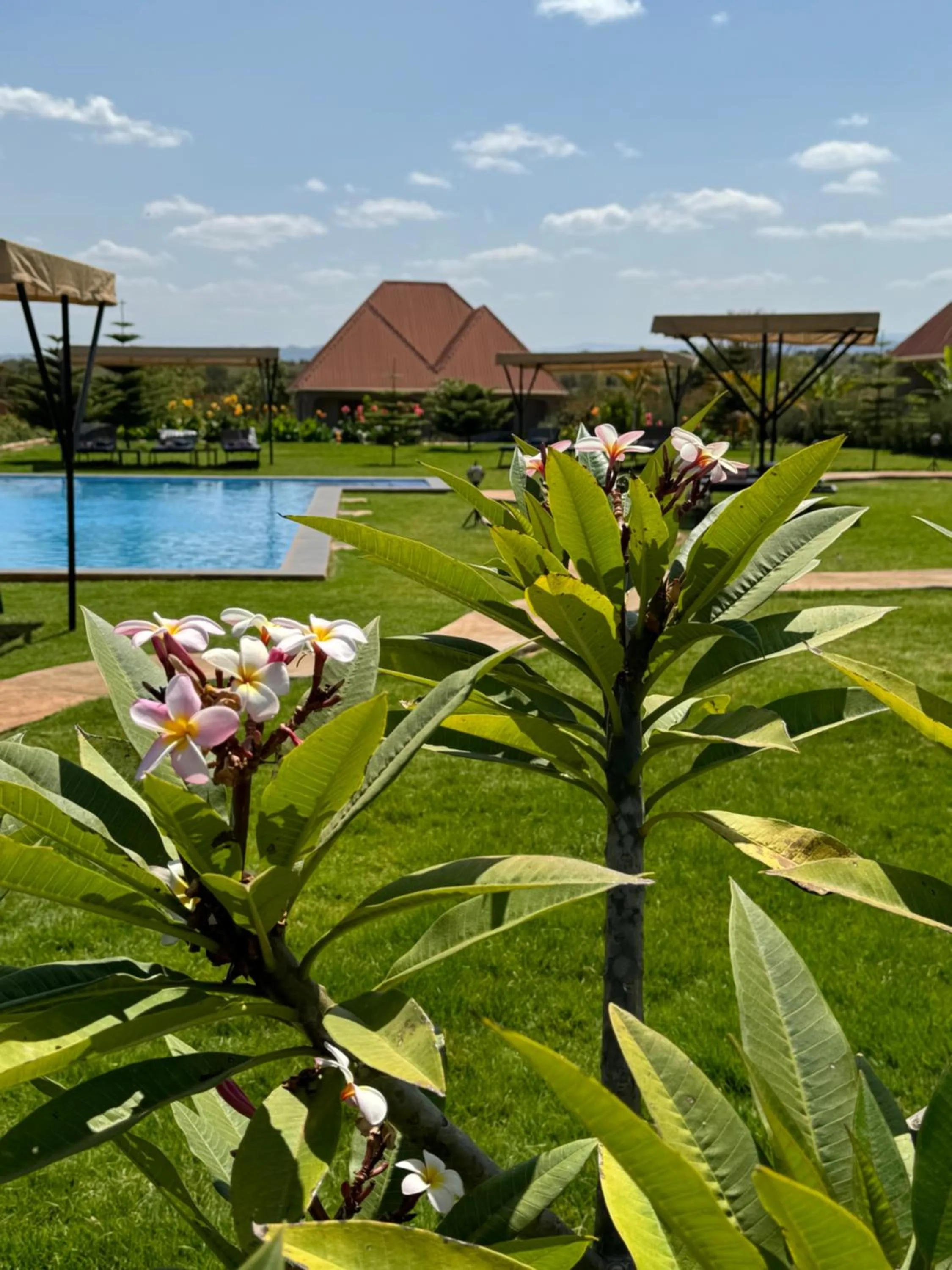 Garden in Heart and Soul Lodge