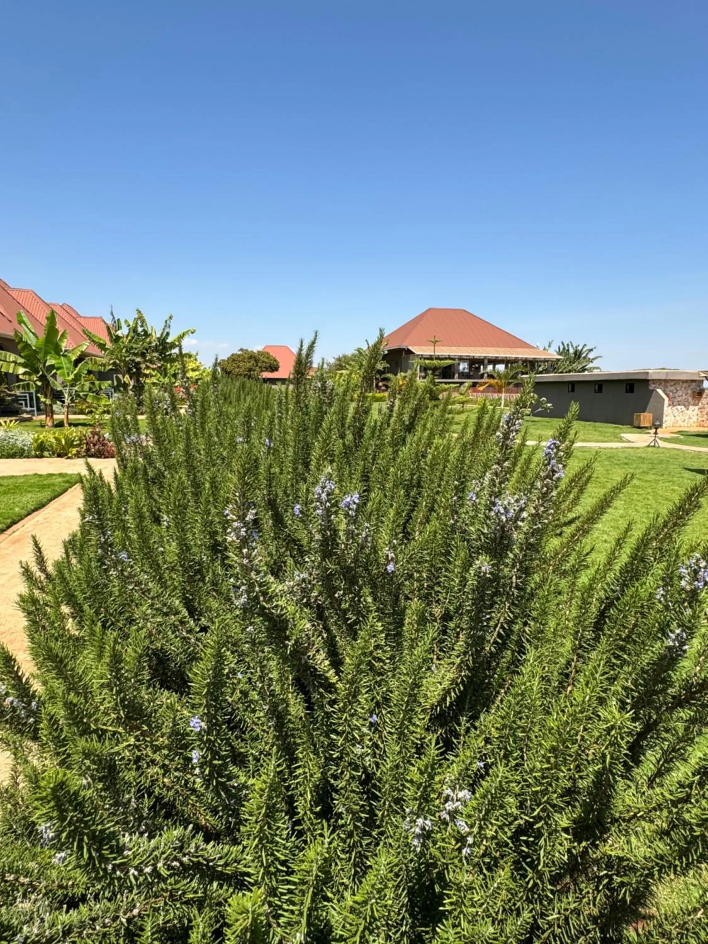 Property building in Heart and Soul Lodge