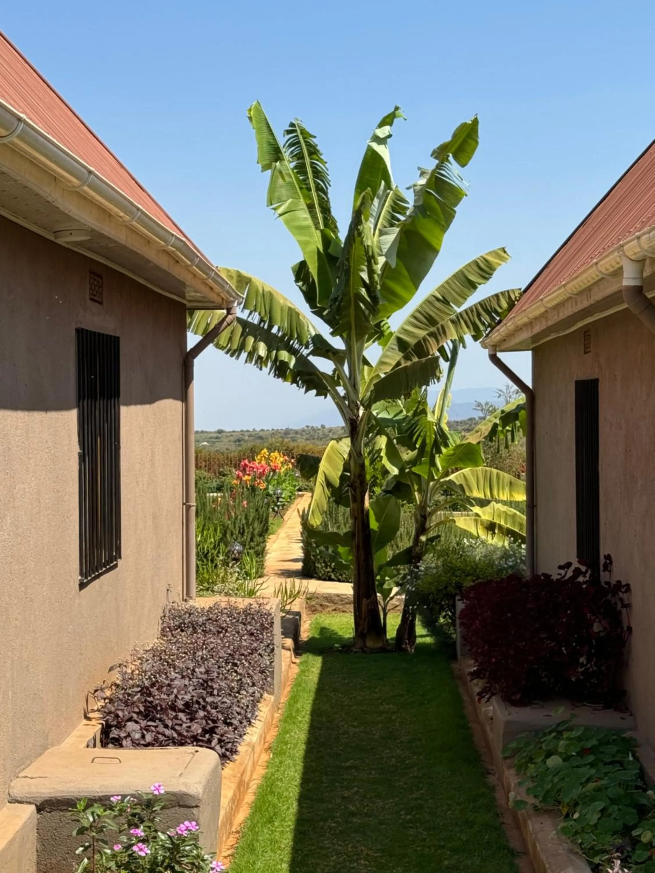 Property building in Heart and Soul Lodge