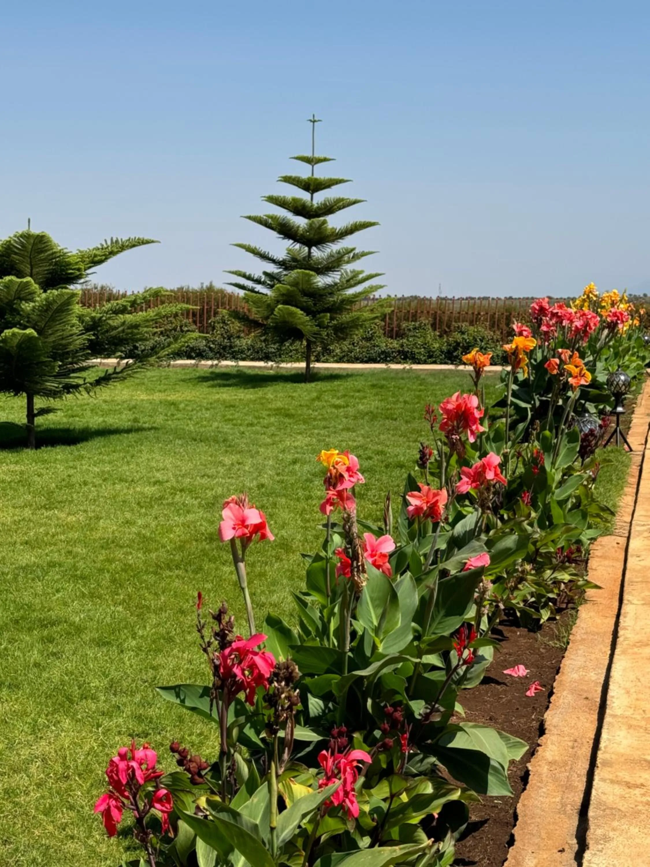Garden in Heart and Soul Lodge