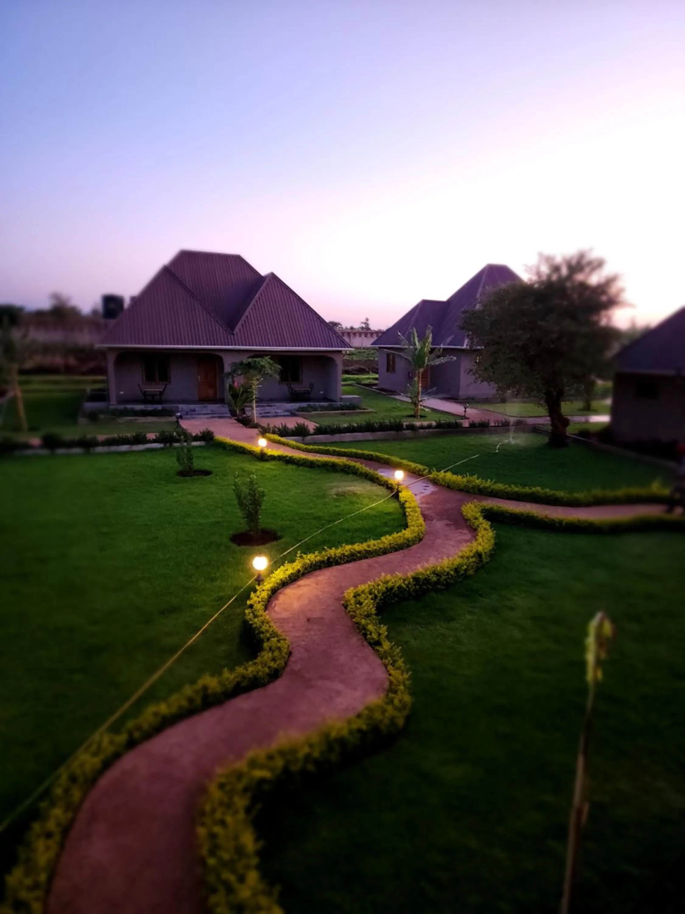 Garden view in Heart and Soul Lodge