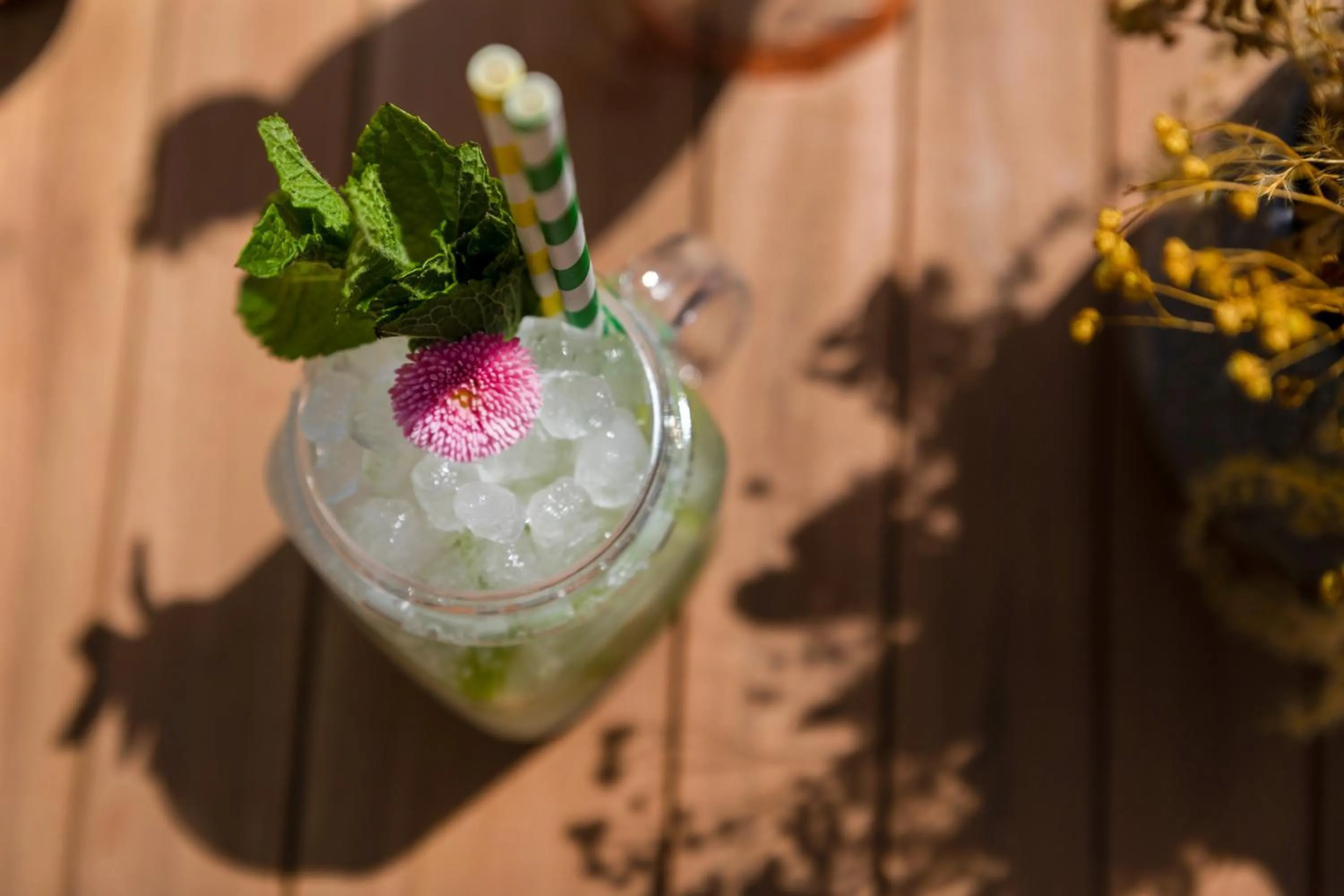 Food and drinks in Sol House The Studio - Calviá Beach - Adults Only