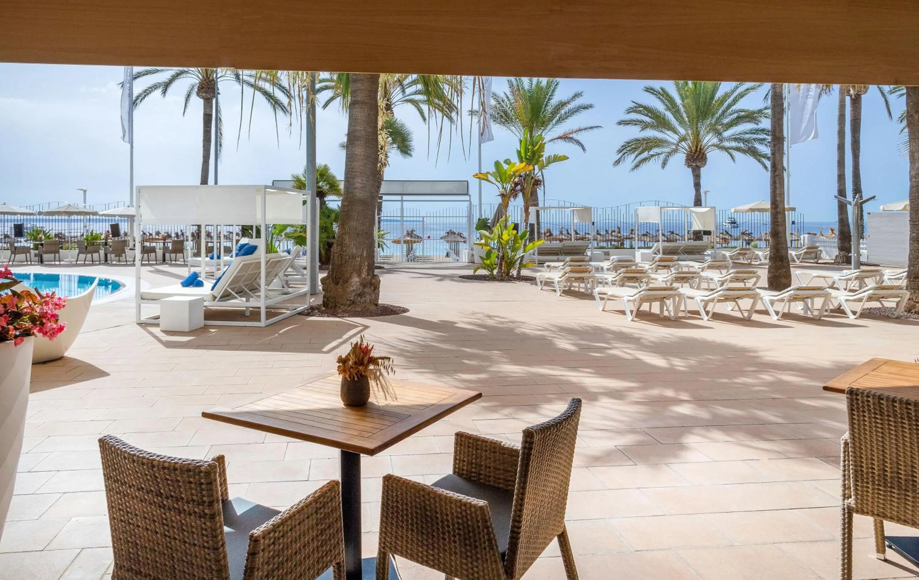 Restaurant/places to eat in Sol House The Studio - Calviá Beach - Adults Only