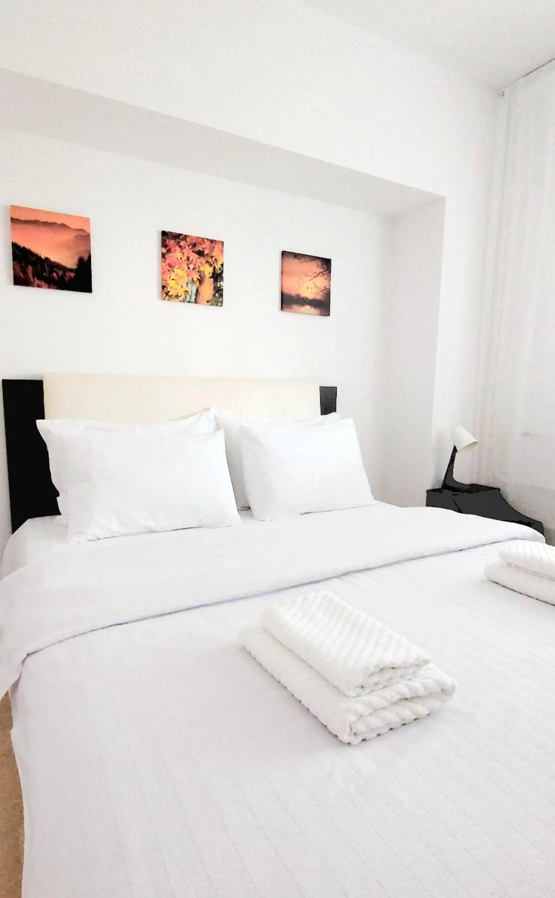 Two-Bedroom Apartment in Brancoveanu Apartament's