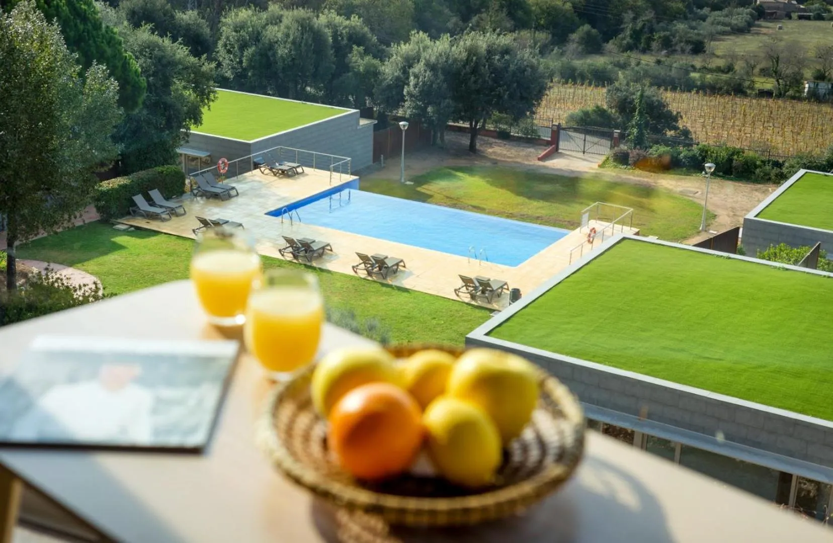 Pool view in Mas Ses Vinyes - Adults Only