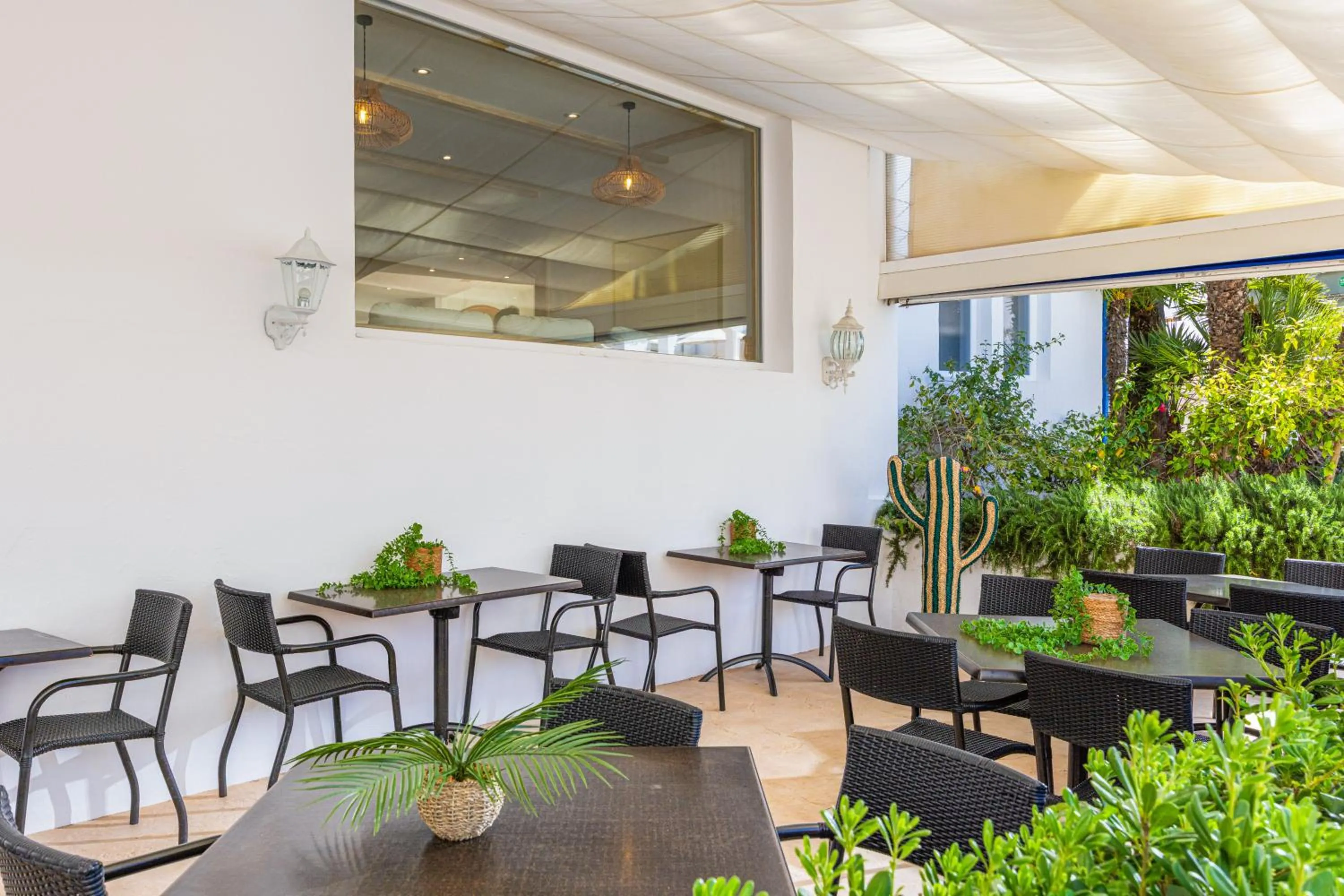 Restaurant/places to eat in Sol Cala d´Or Apartamentos