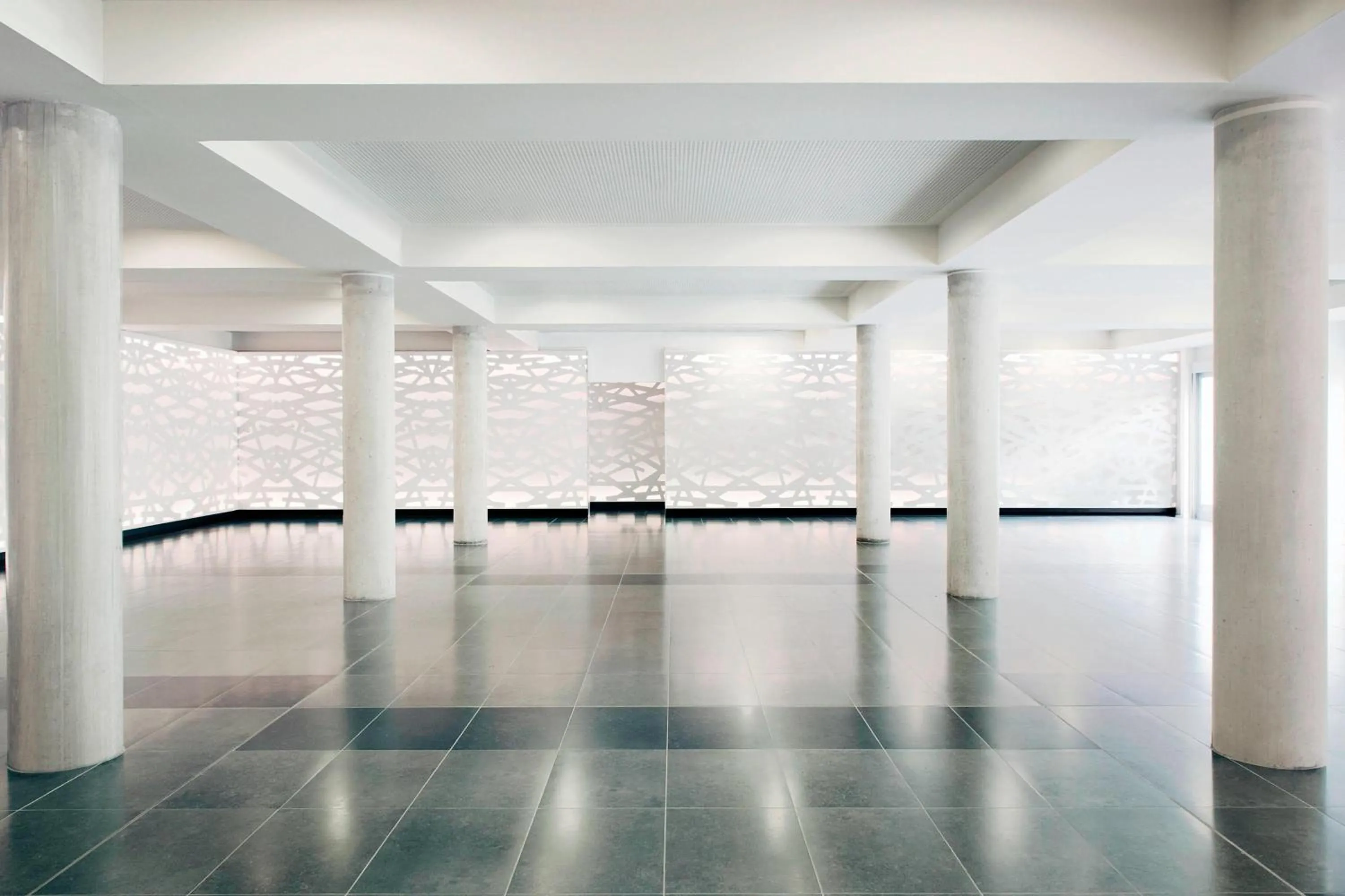 Meeting/conference room in Le Meridien Ra Beach Hotel and Spa