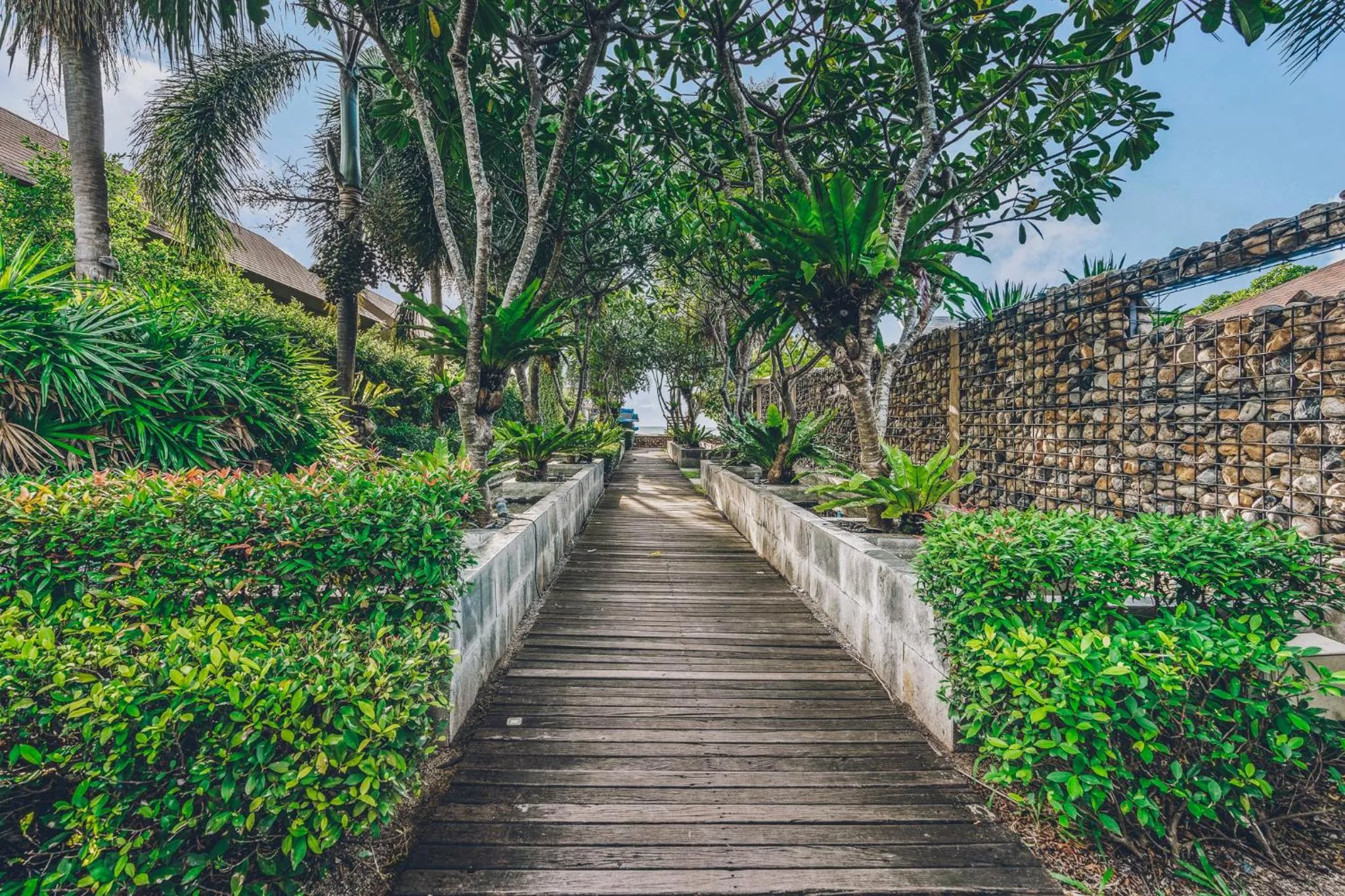 Natural landscape in Allure Resort