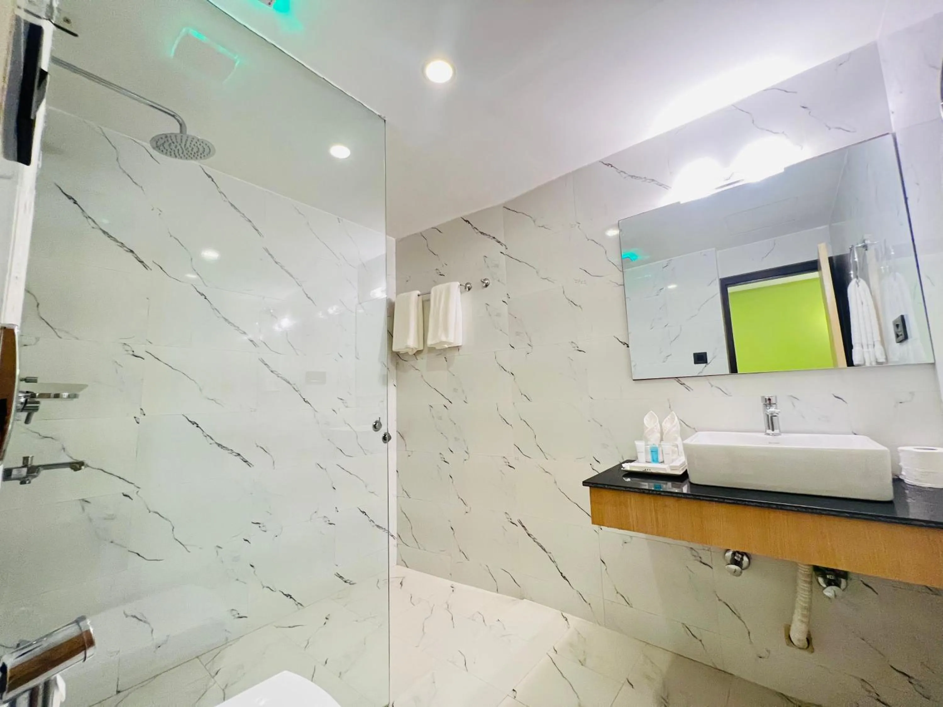 Bathroom in Hotel Aikawa