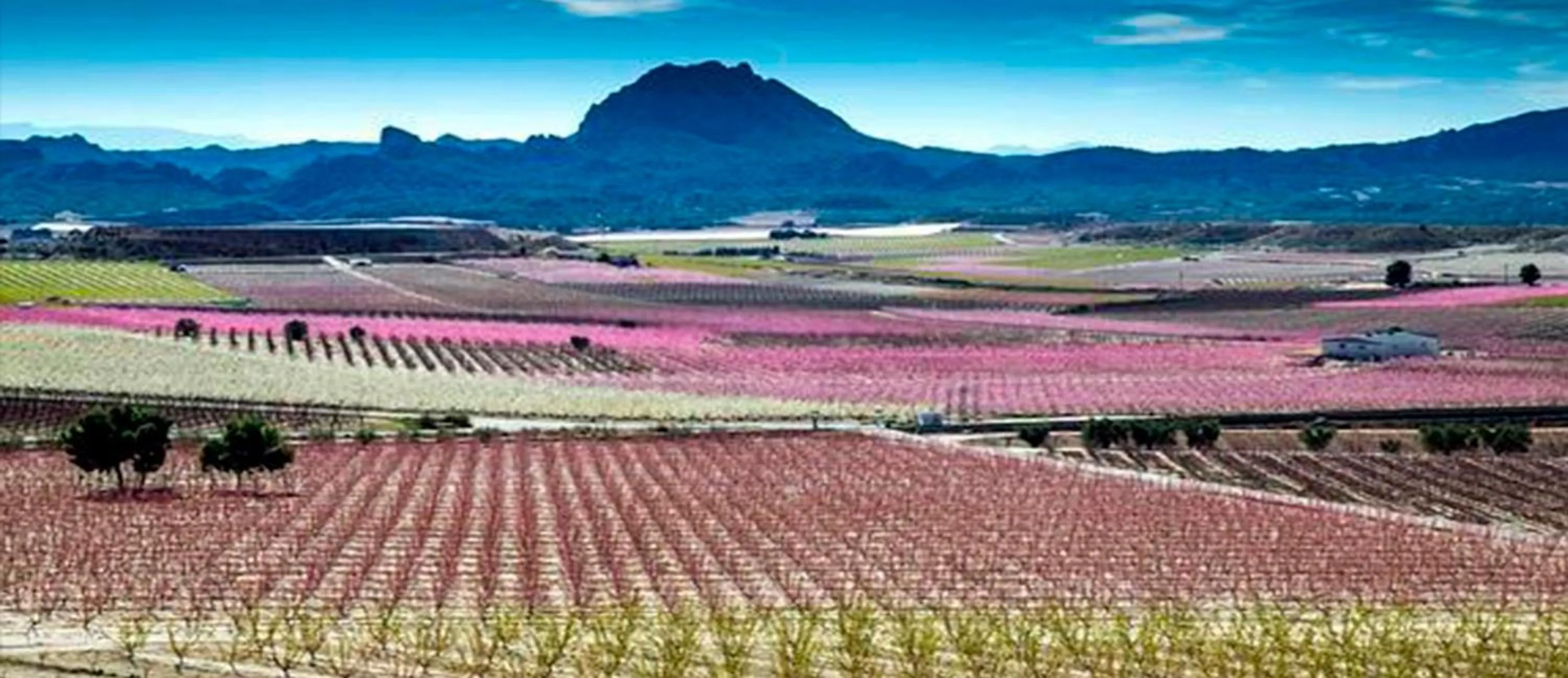 Spring in Hotel Hyltor