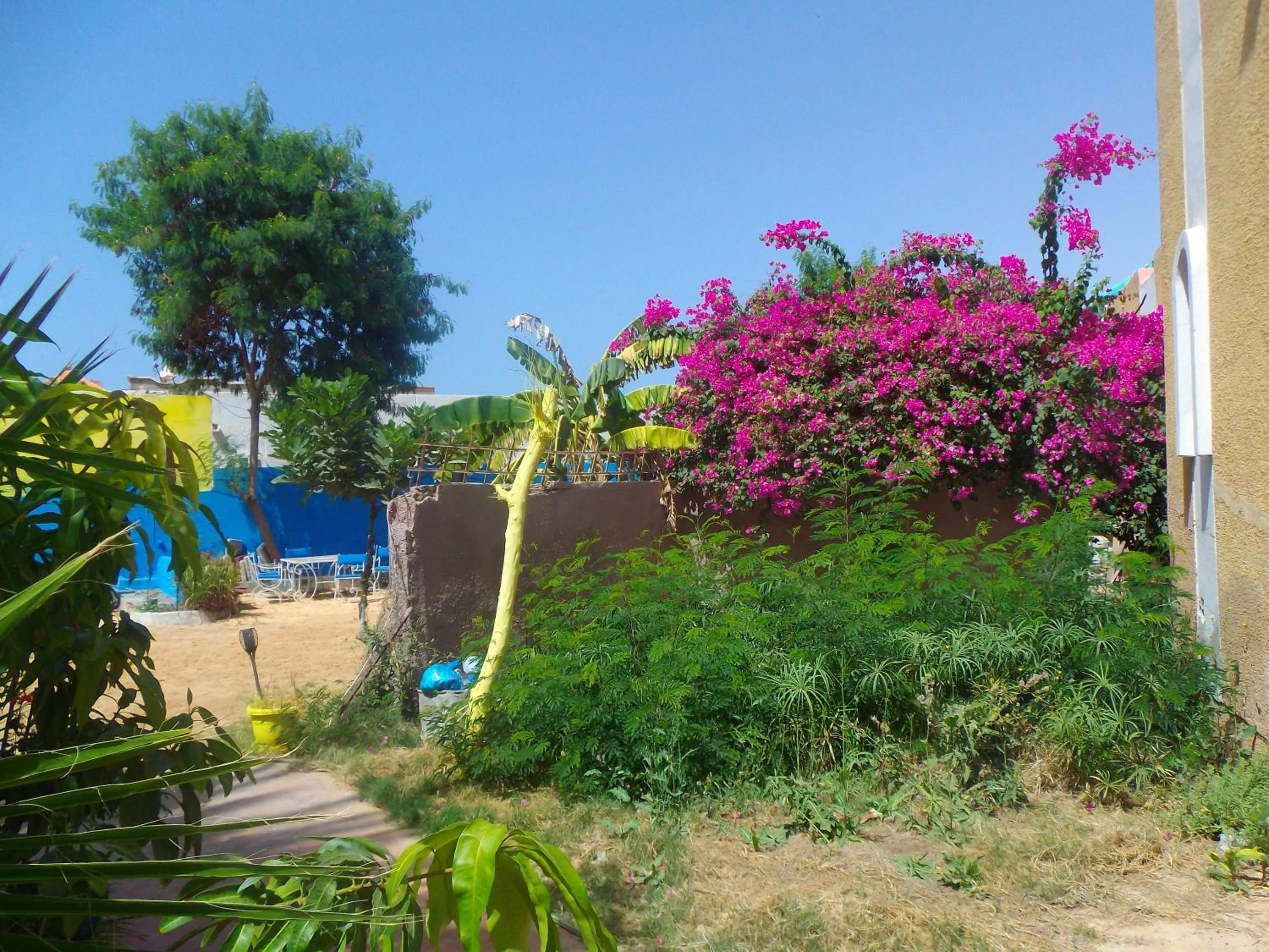 Garden in Auberge Triskell