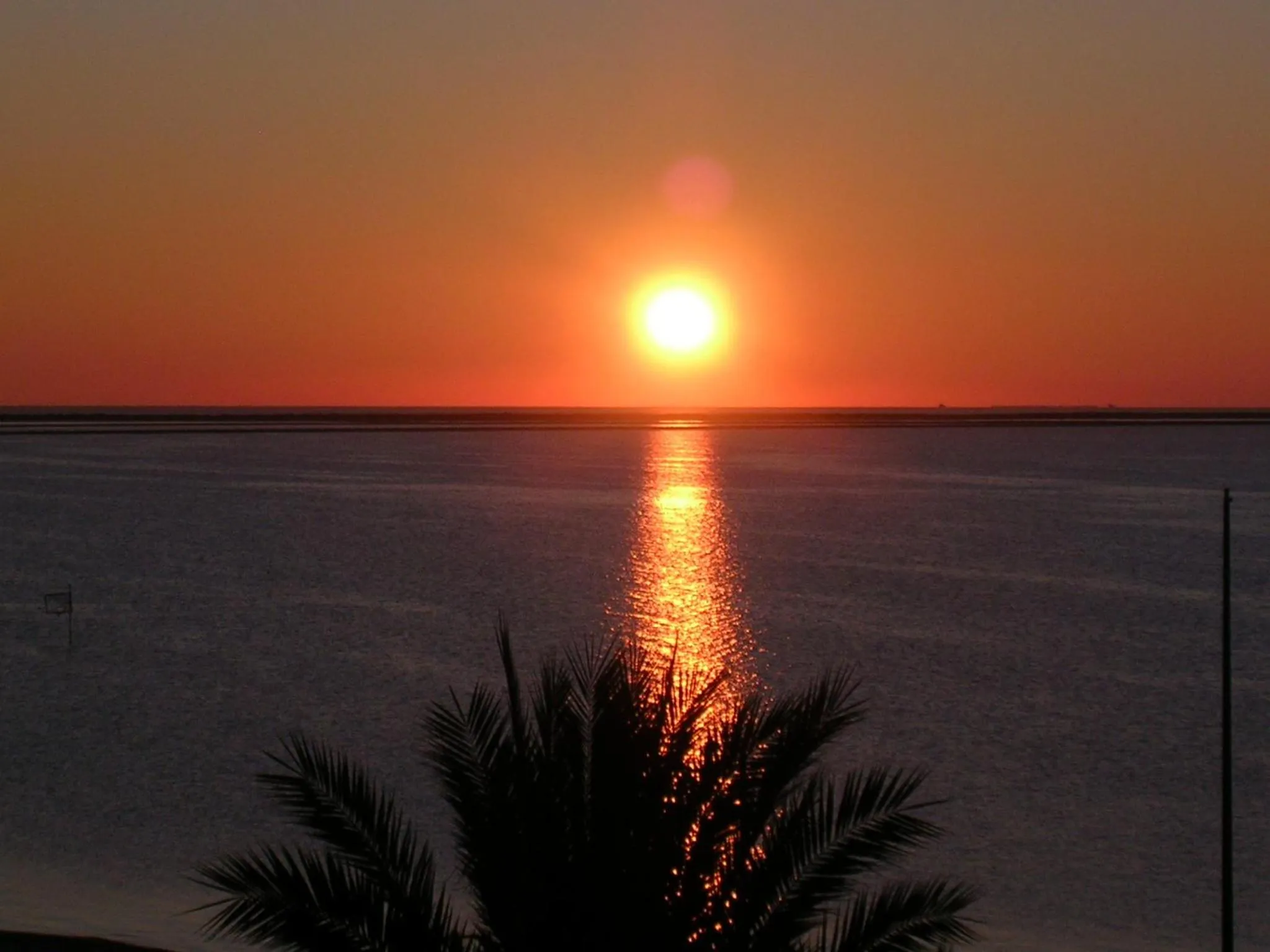 Area and facilities in Hotel Neptuno