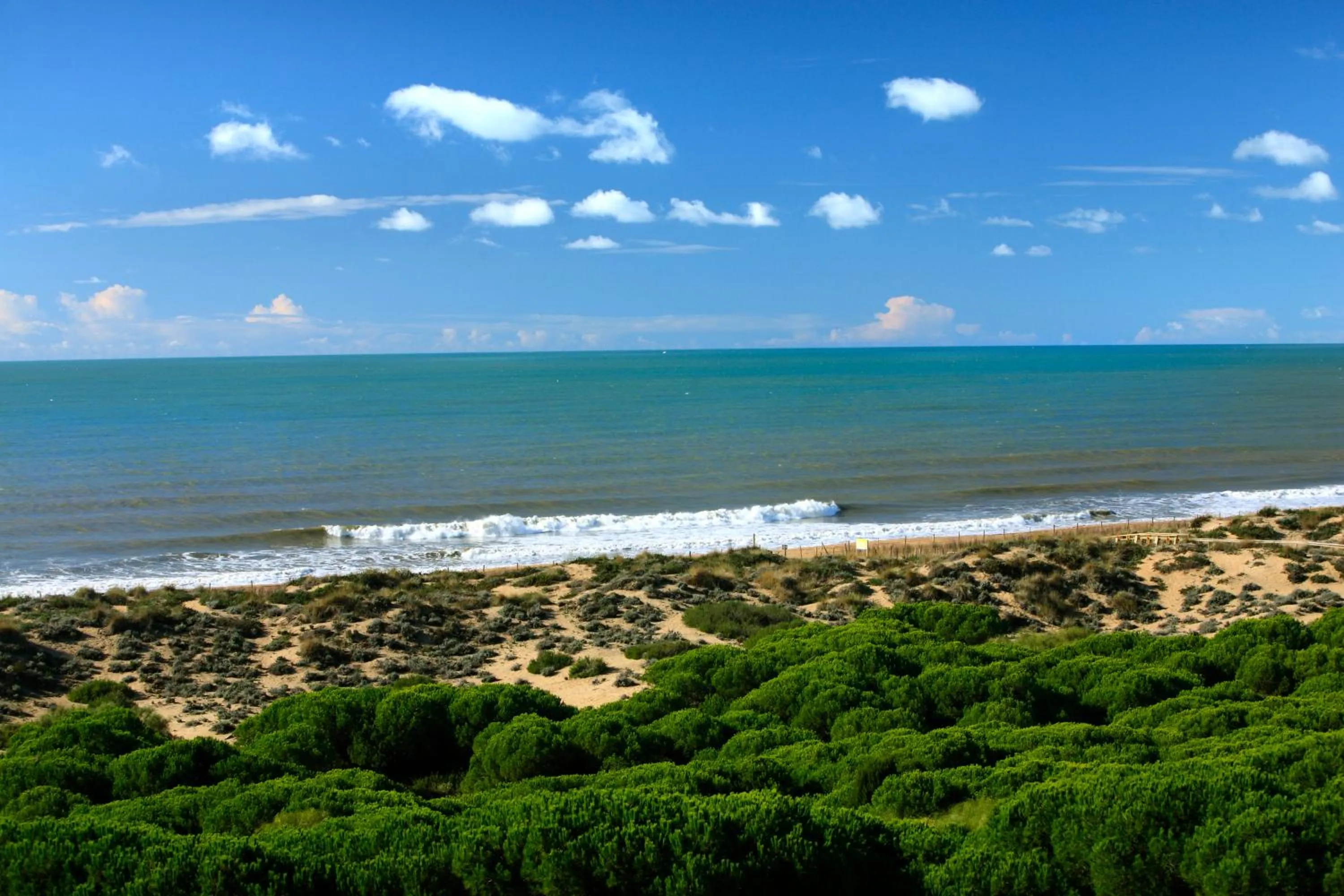 View (from property/room) in Barceló Punta Umbría Beach Resort