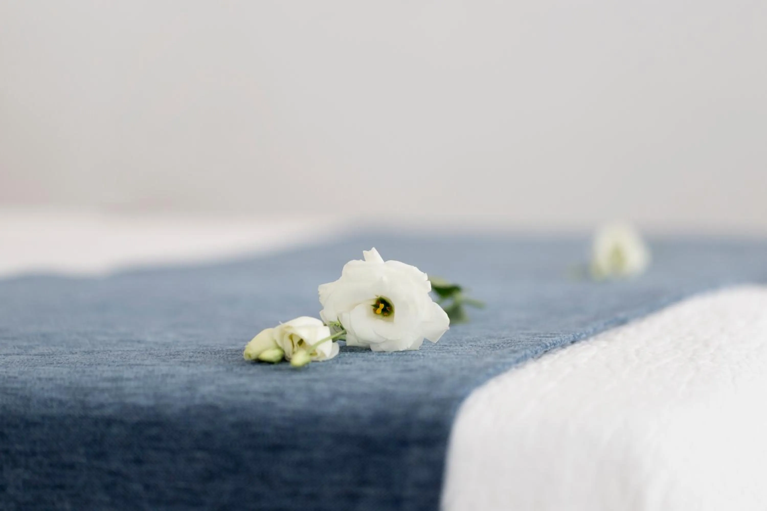 Decorative detail, Bed in Hotel Plaza Cavana