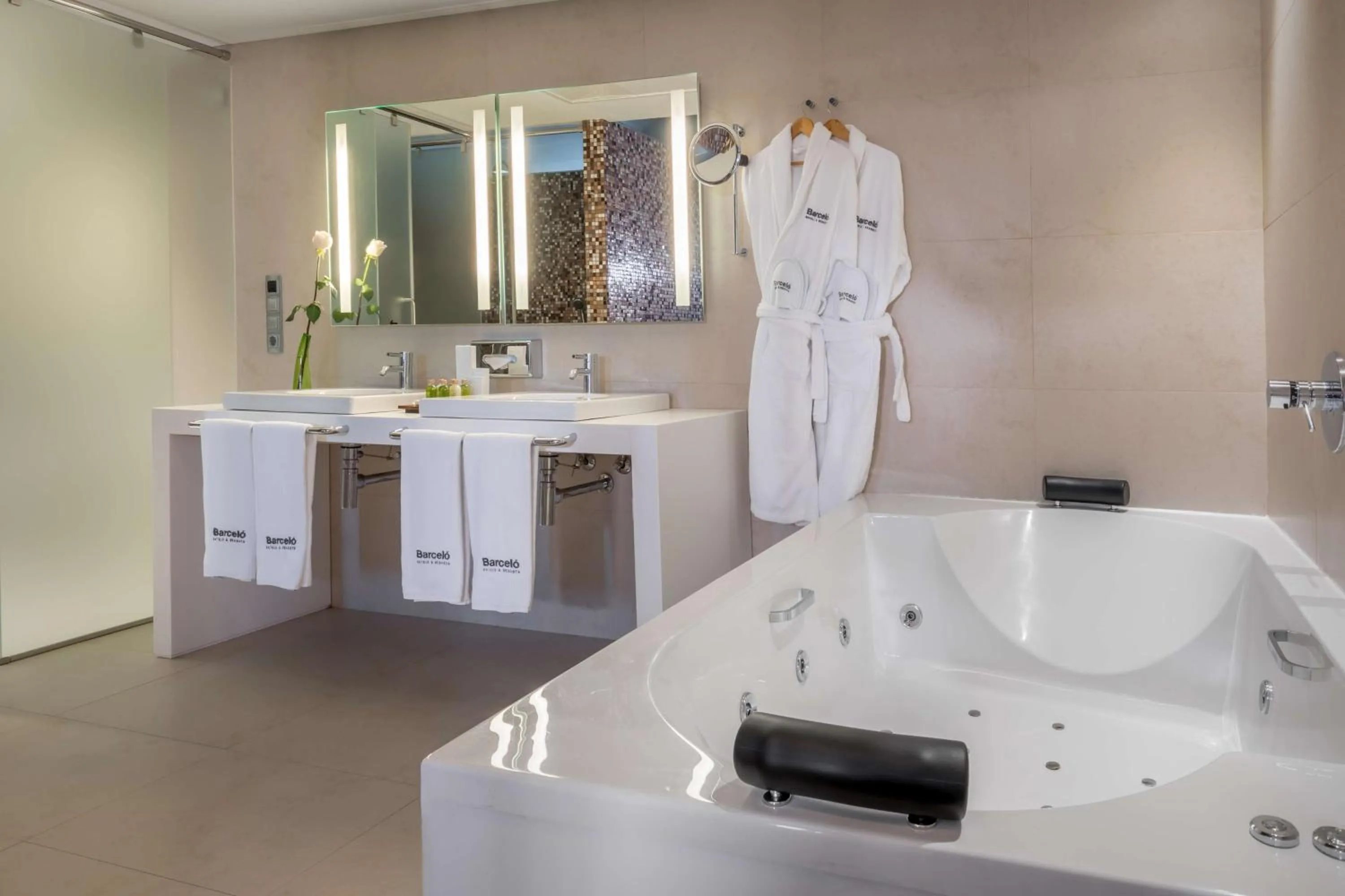 Bathroom in Barceló Malaga